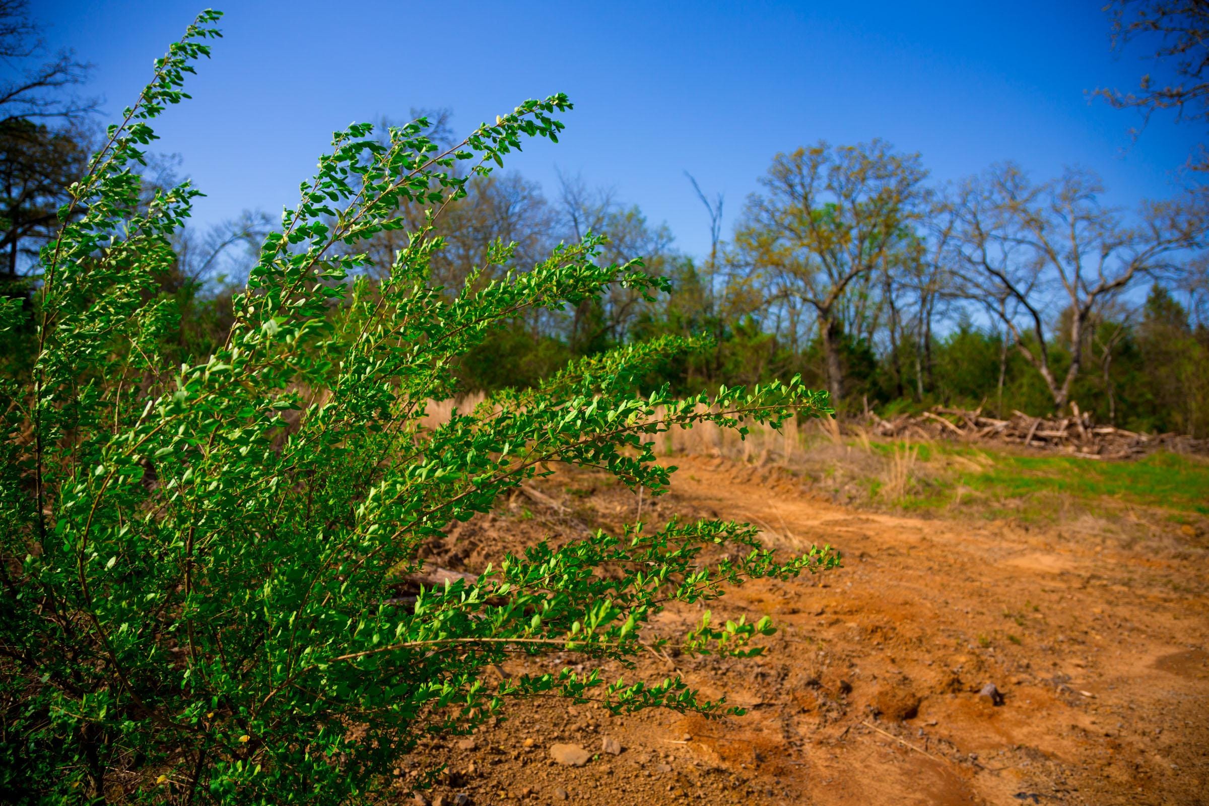 Stone Creek Phase II Tract 260 photo 16