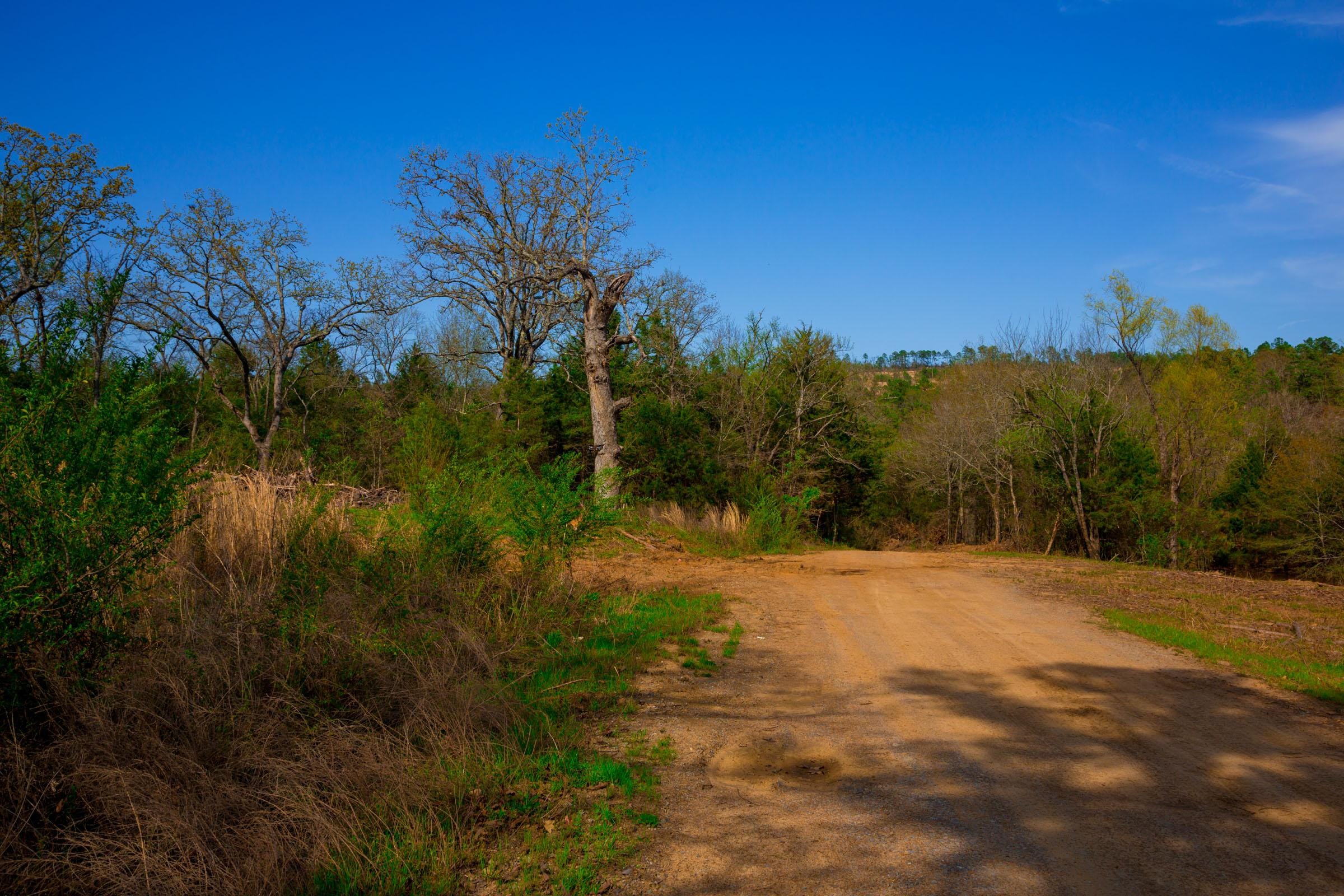 Stone Creek Phase II Tract 260 photo 17