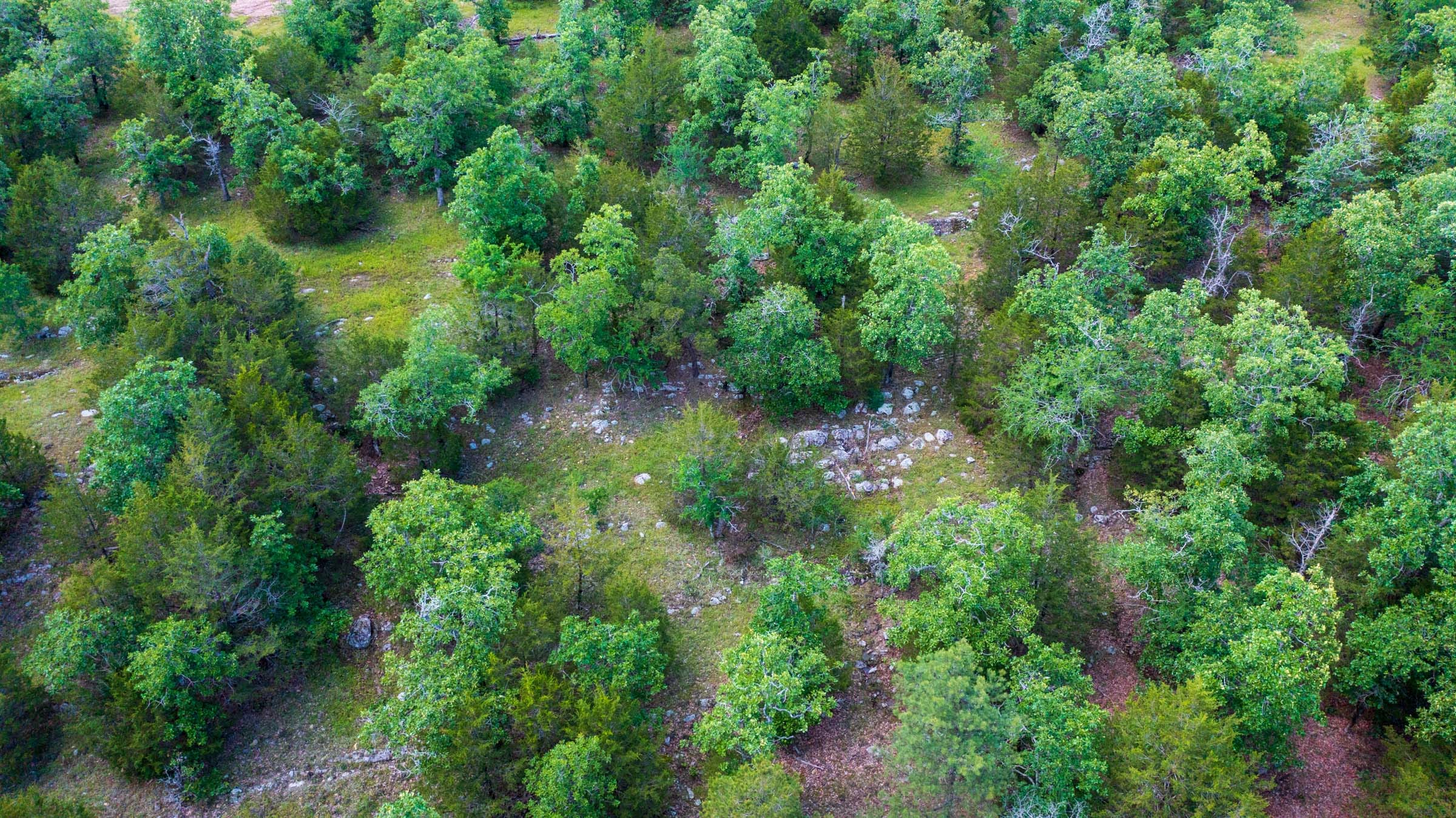 Falcon Crest Tract 28 photo 1