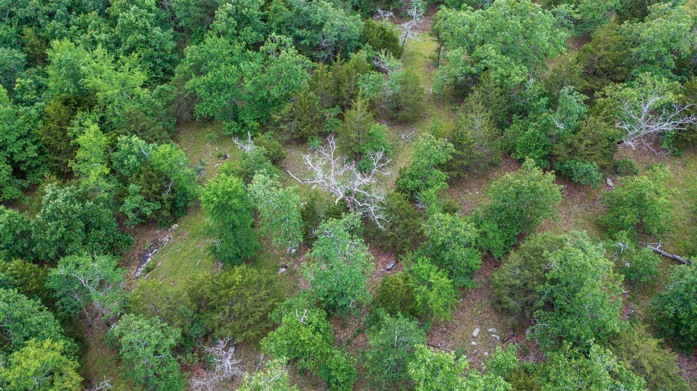 Falcon Crest Tract 28 photo 3