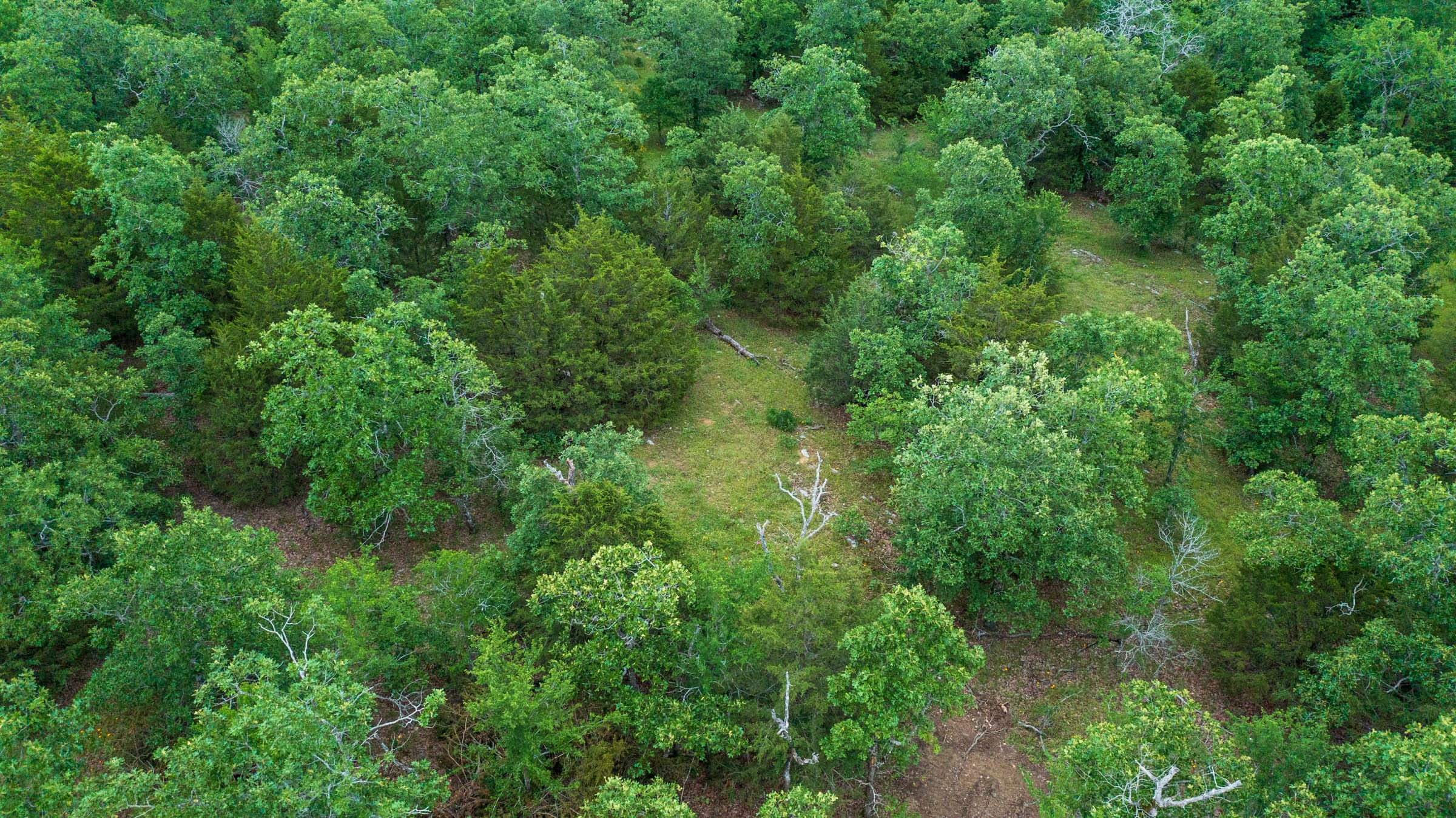 Falcon Crest Tract 28 photo 4