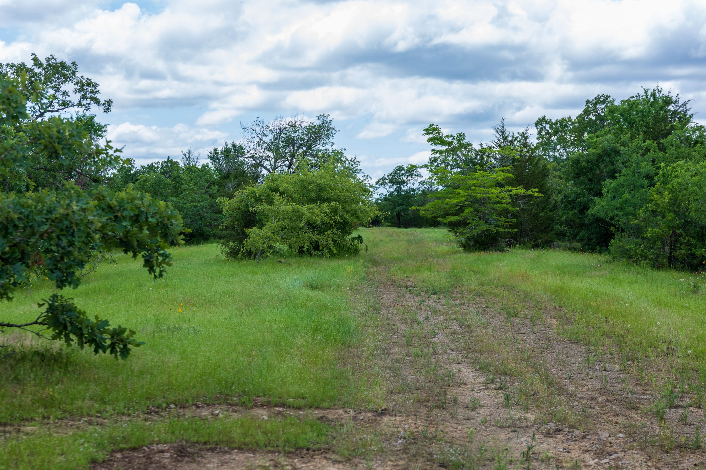 Falcon Crest Tract 28 photo 6
