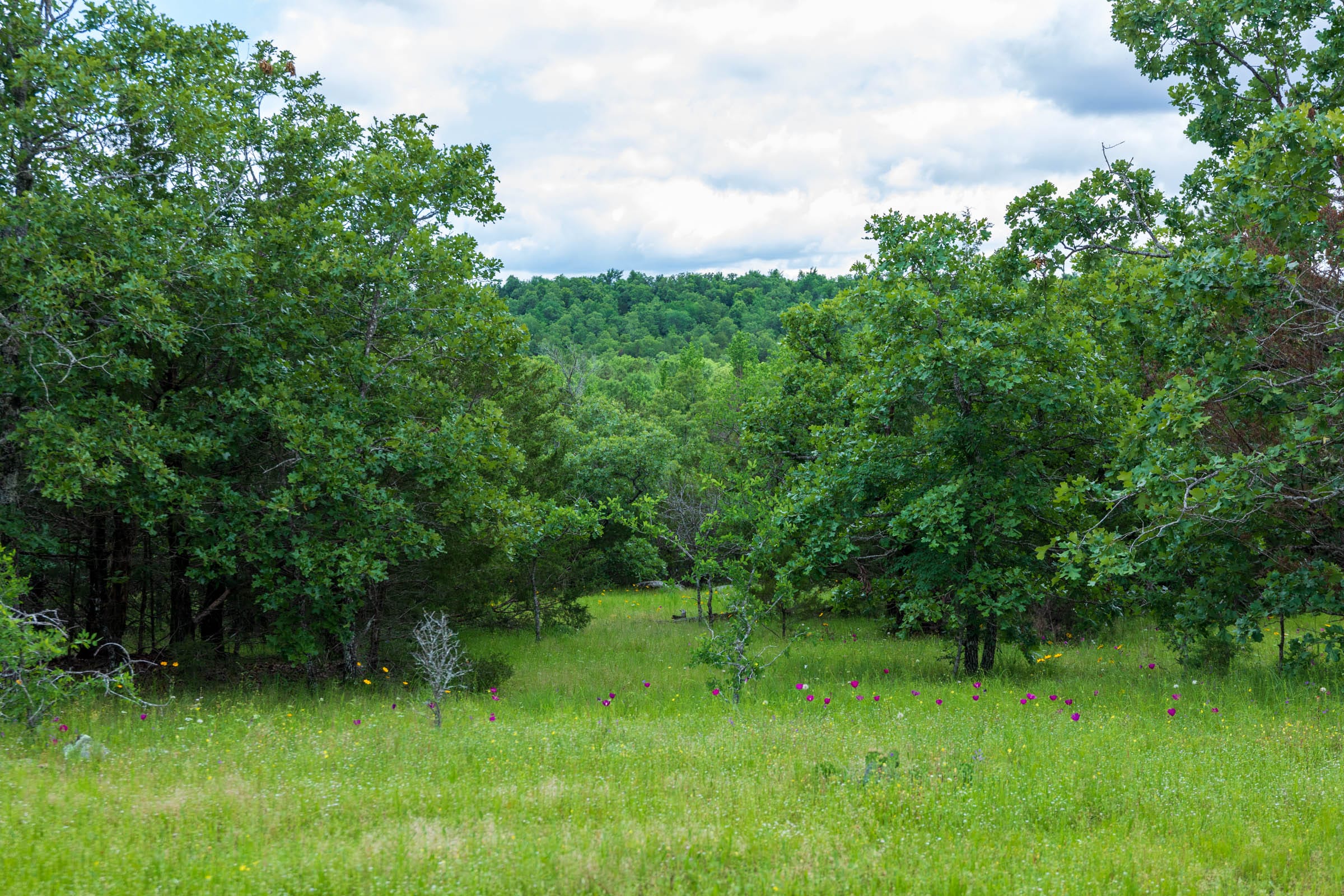 Falcon Crest Tract 28 photo 7