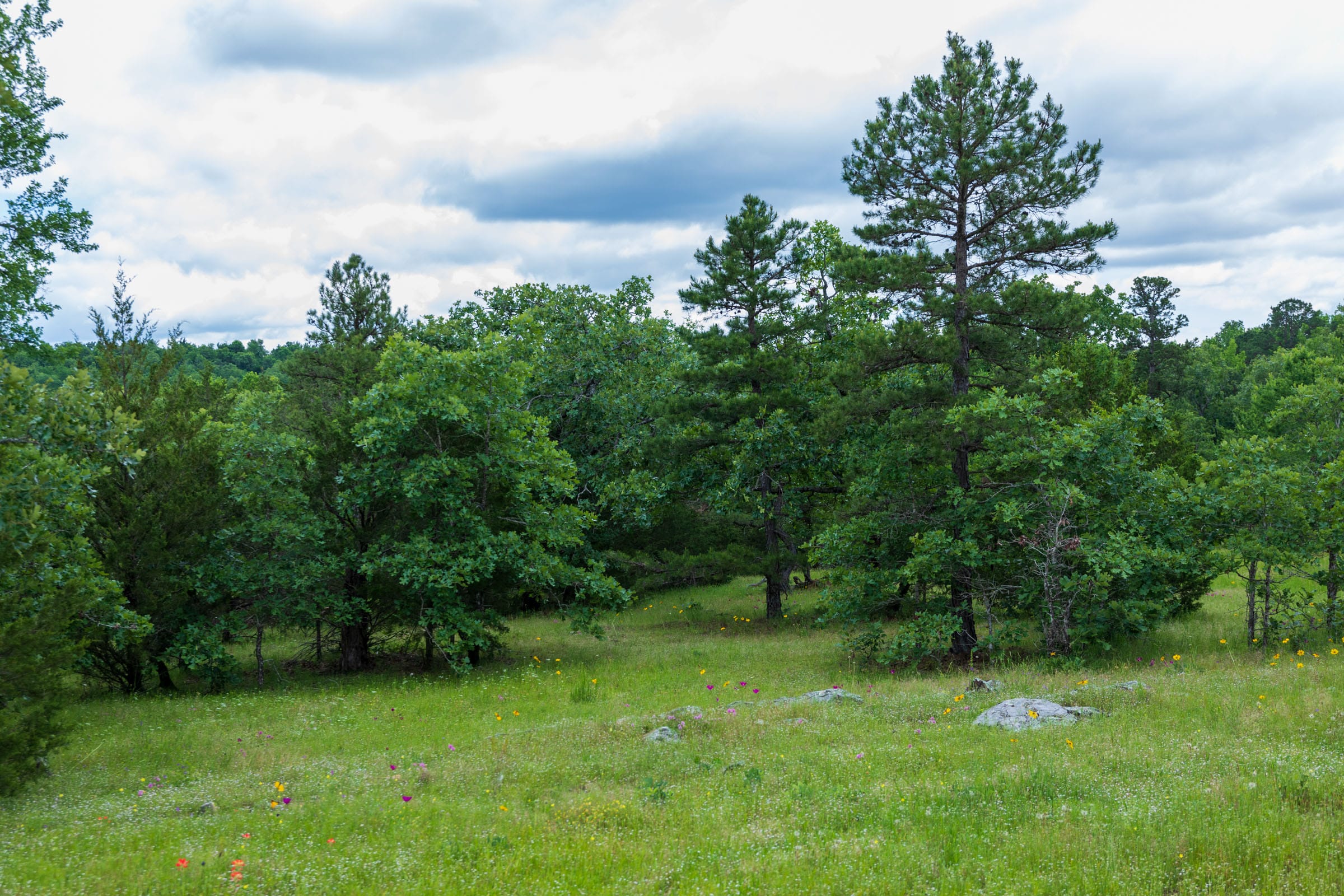 Falcon Crest Tract 28 photo 8