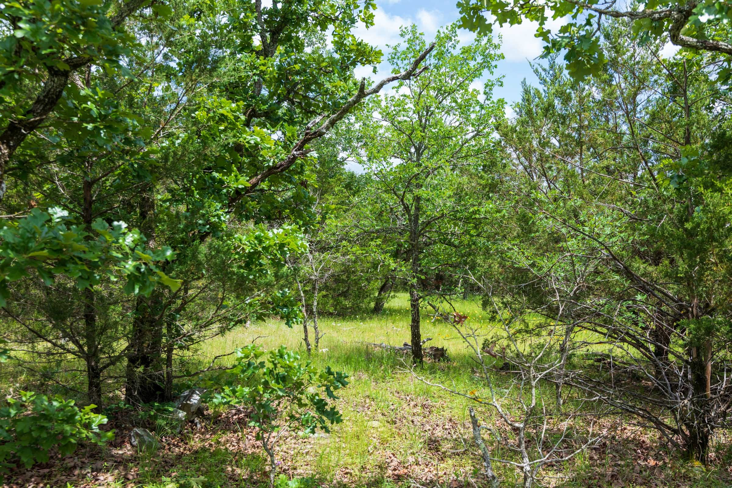 Falcon Crest Tract 28 photo 9