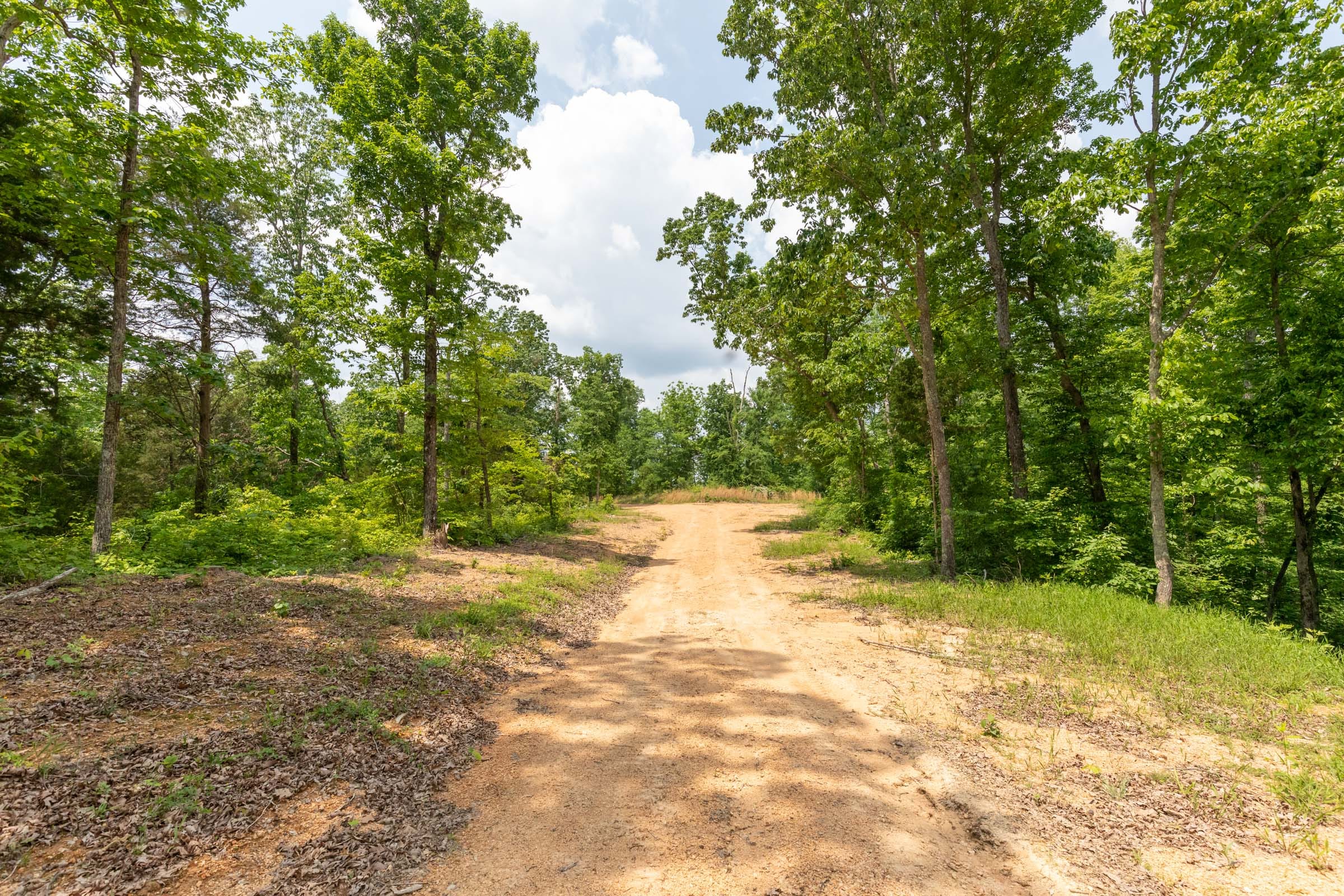 Cedar Creek Tract 12 photo 1