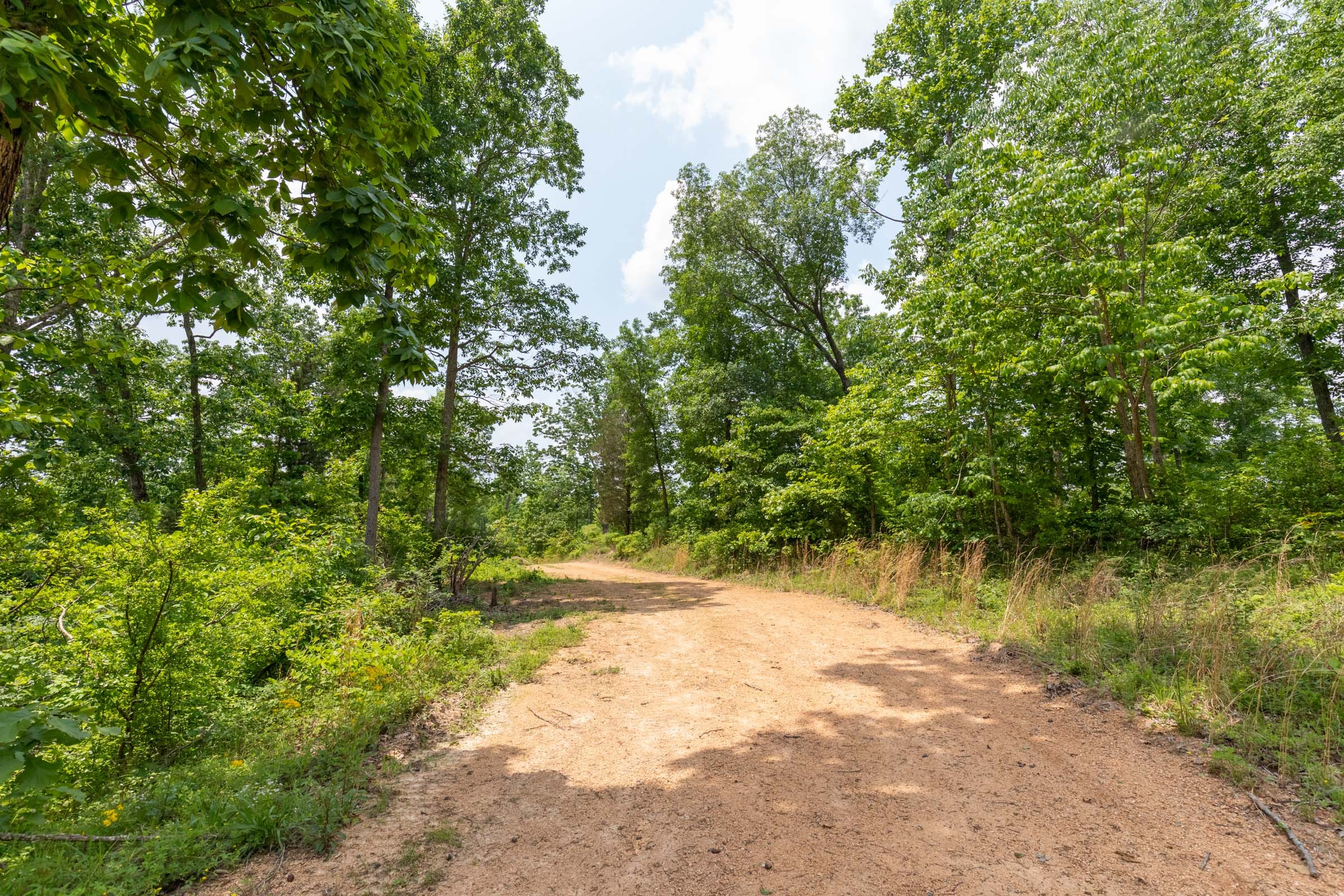 Cedar Creek Tract 12 photo 4