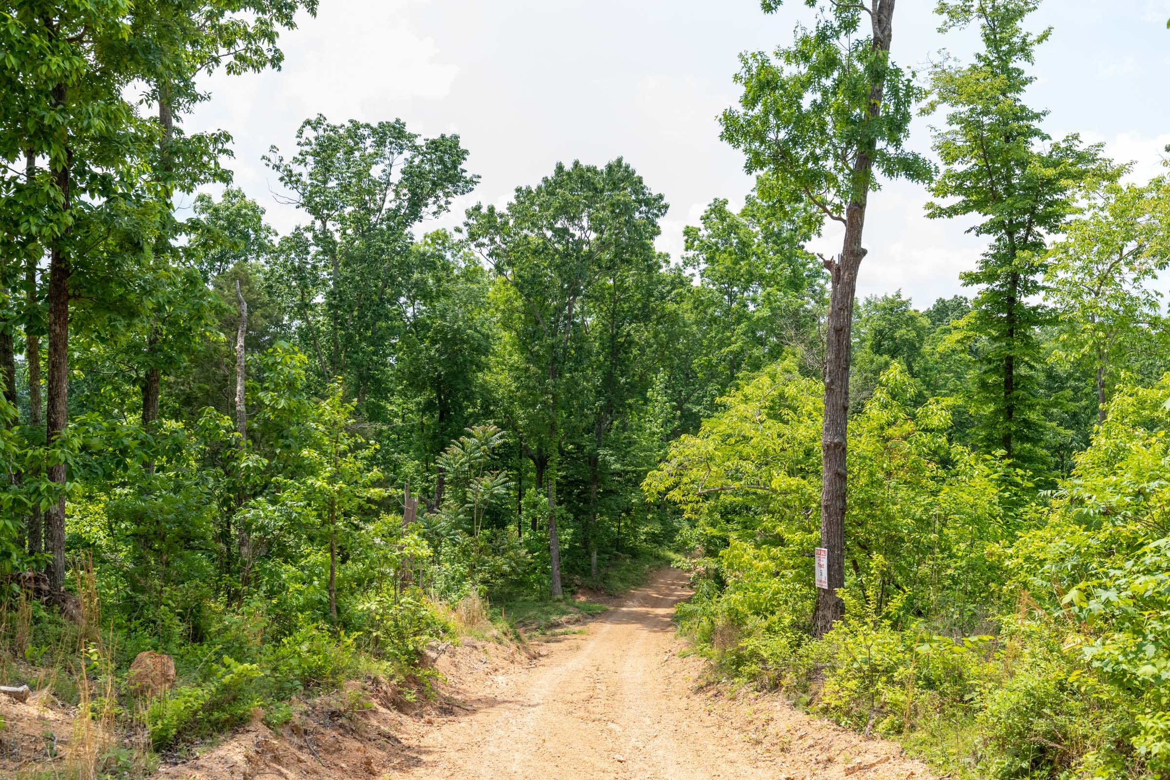 Cedar Creek Tract 12 photo 7