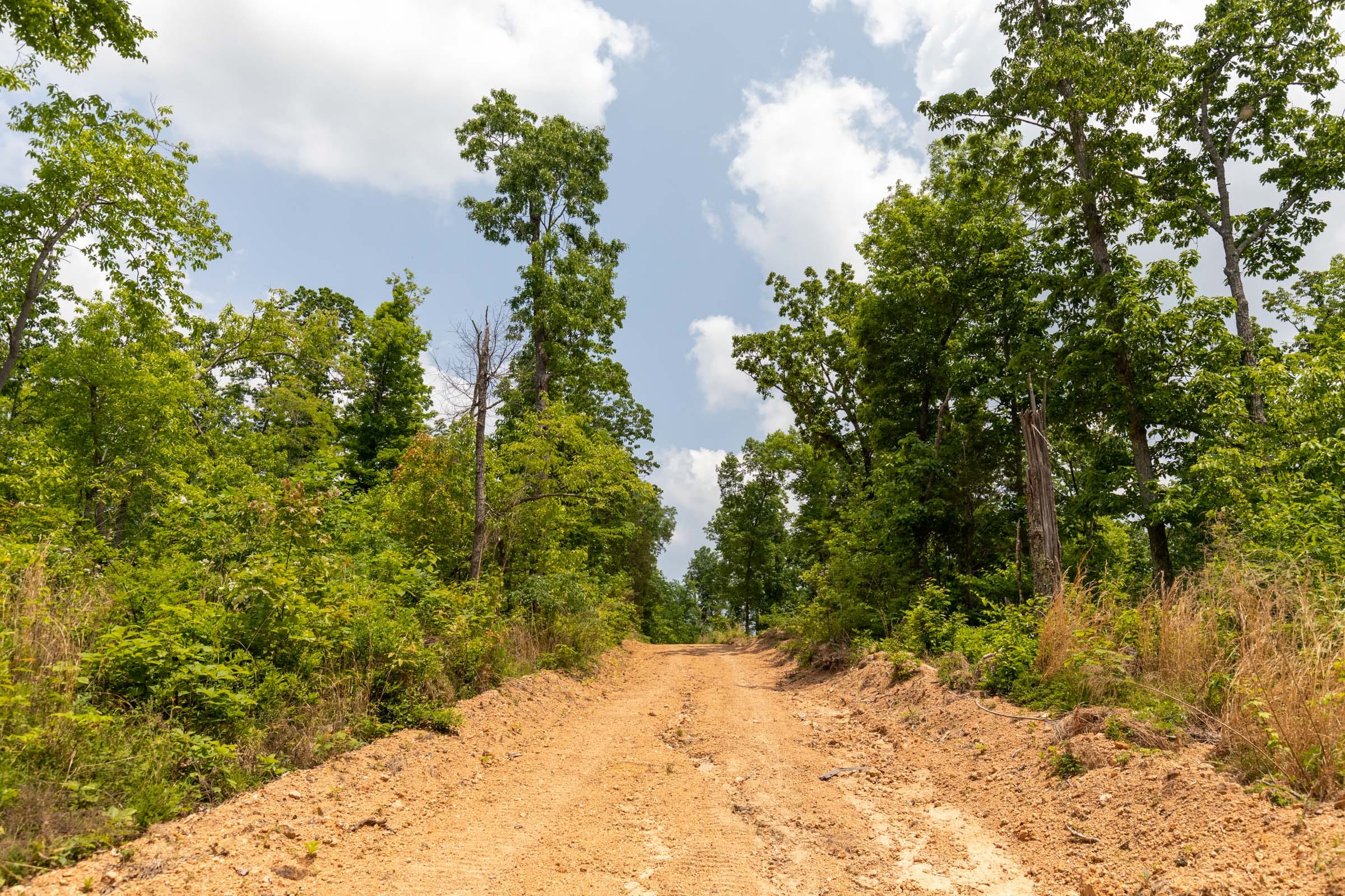 Cedar Creek Tract 12 photo 10