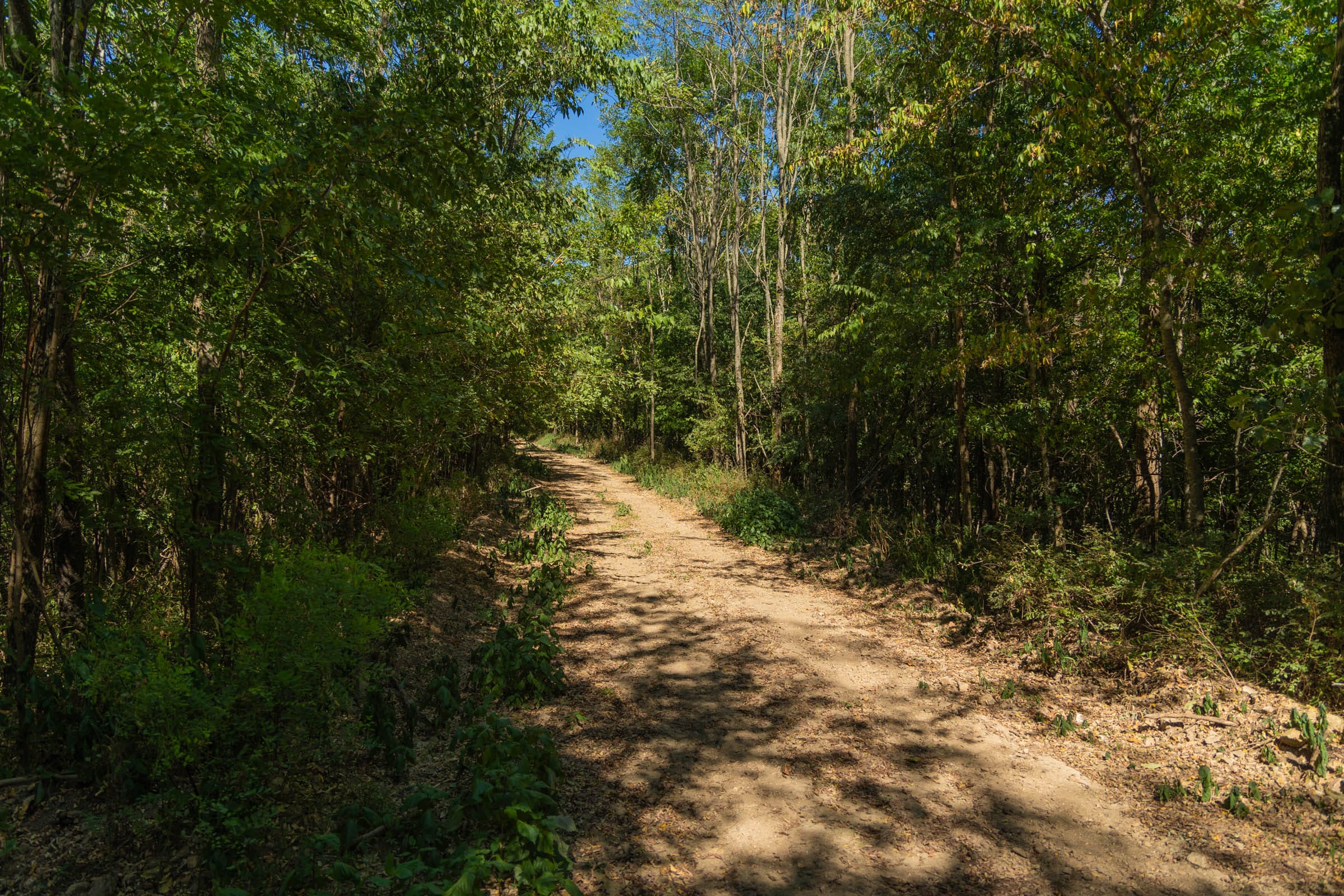 Big White Oak Tract 98 photo 22