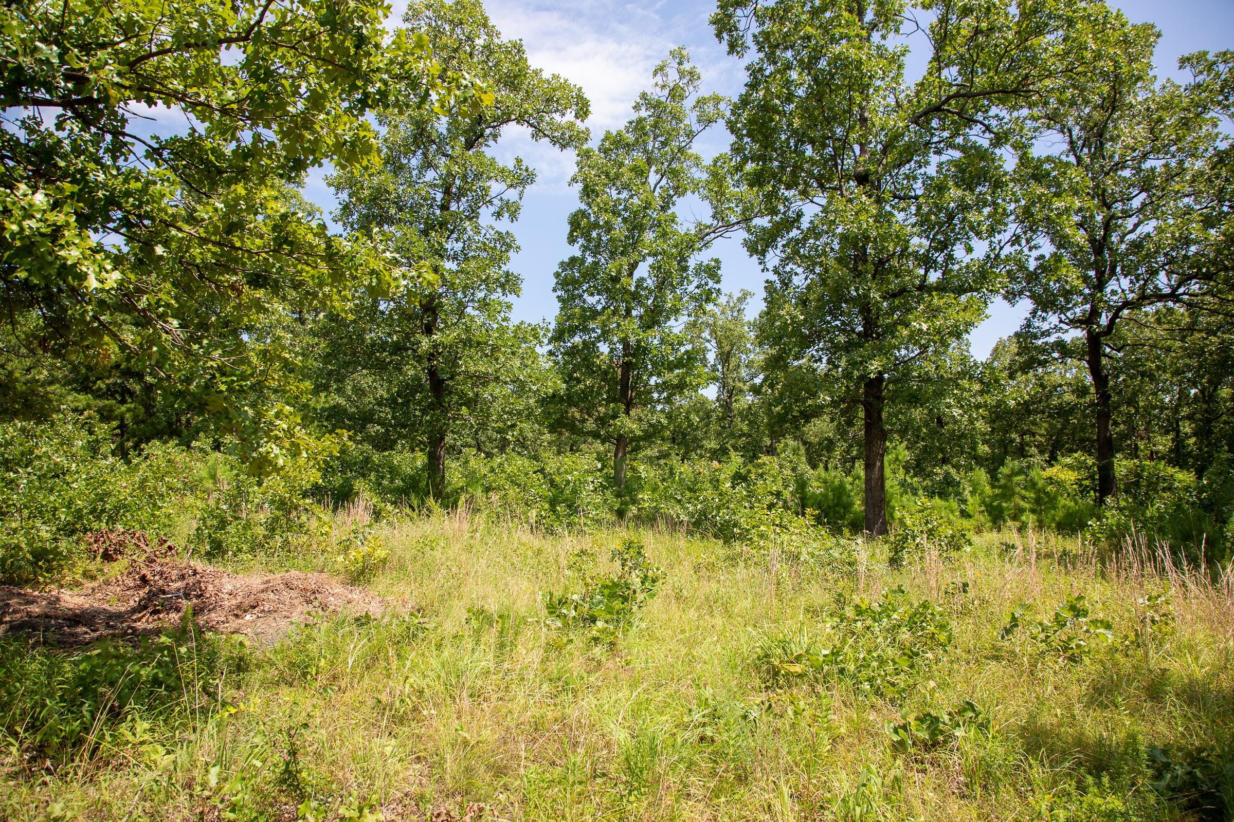 Tyler Stone Ranch Tract 41 photo 2