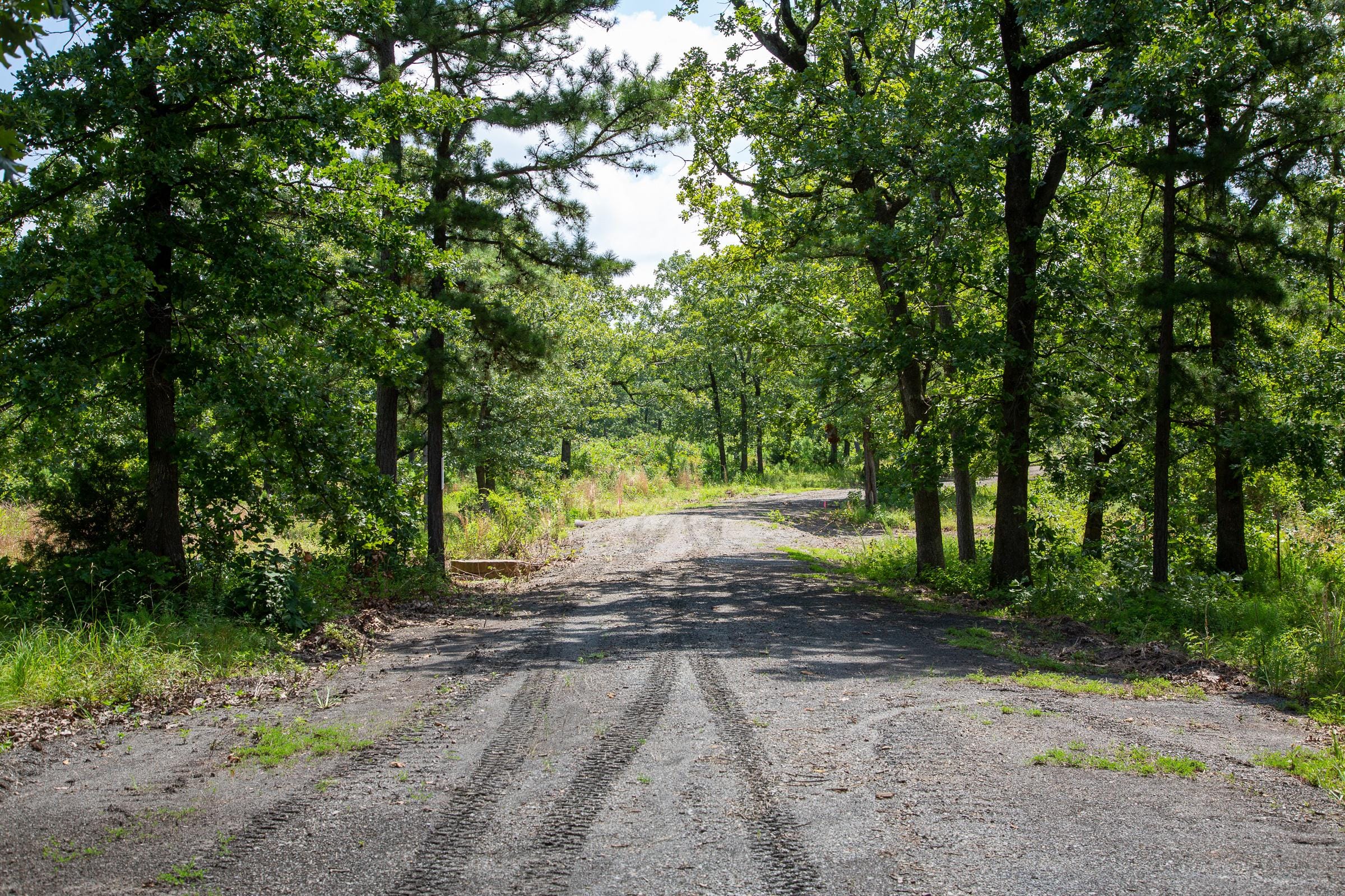 Tyler Stone Ranch Tract 41 photo 3