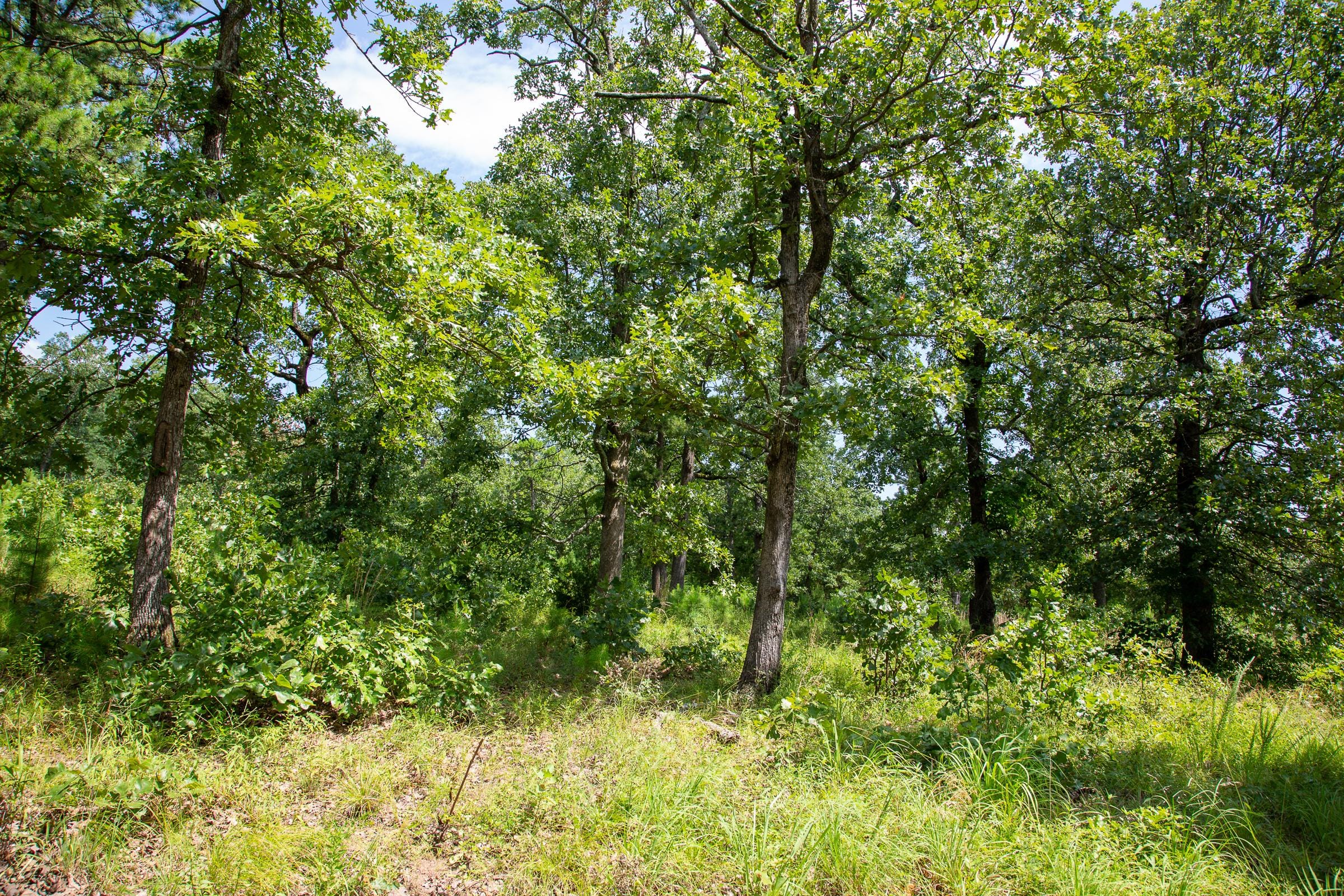Tyler Stone Ranch Tract 41 photo 6