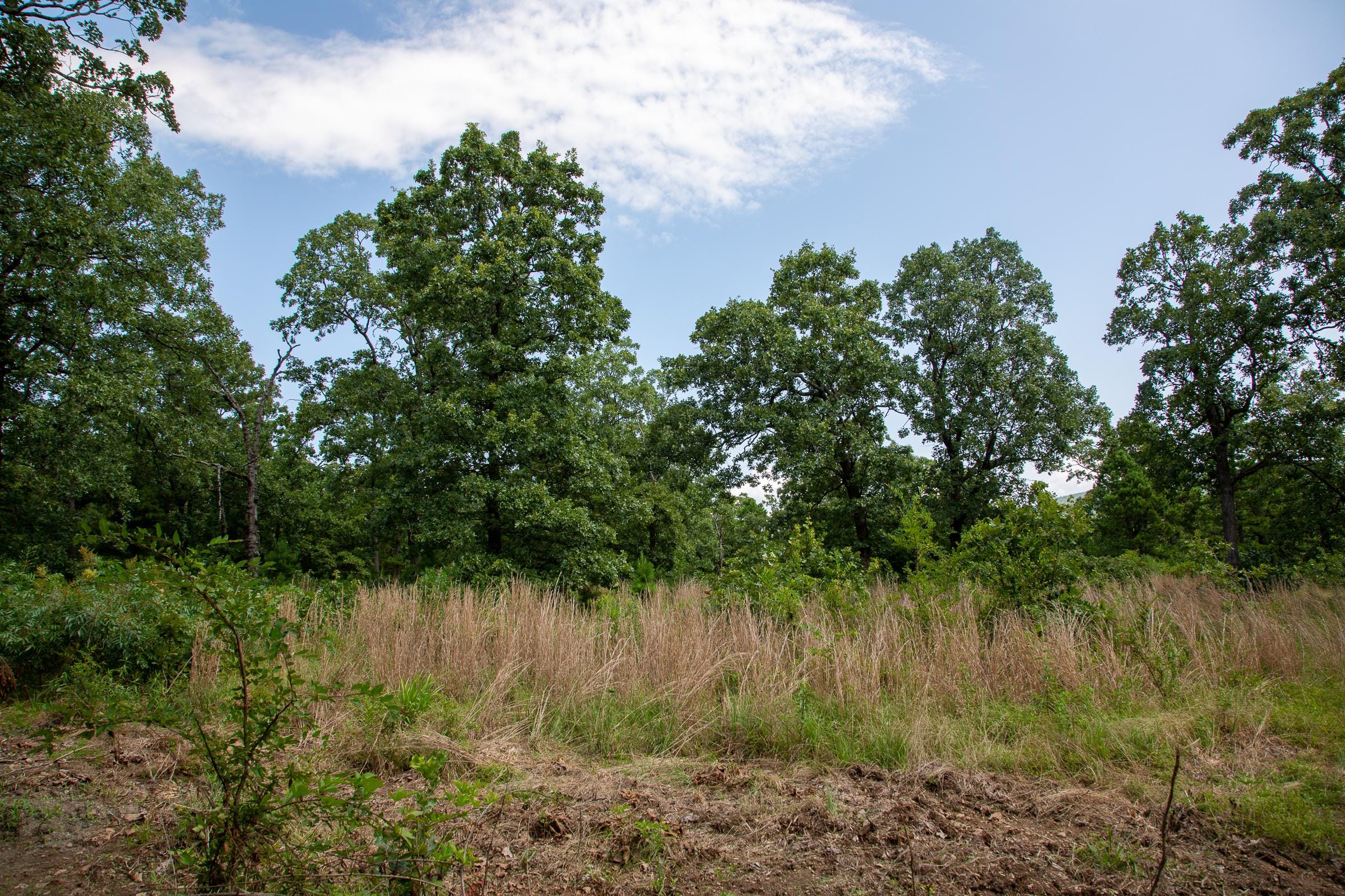 Tyler Stone Ranch Tract 41 photo 8