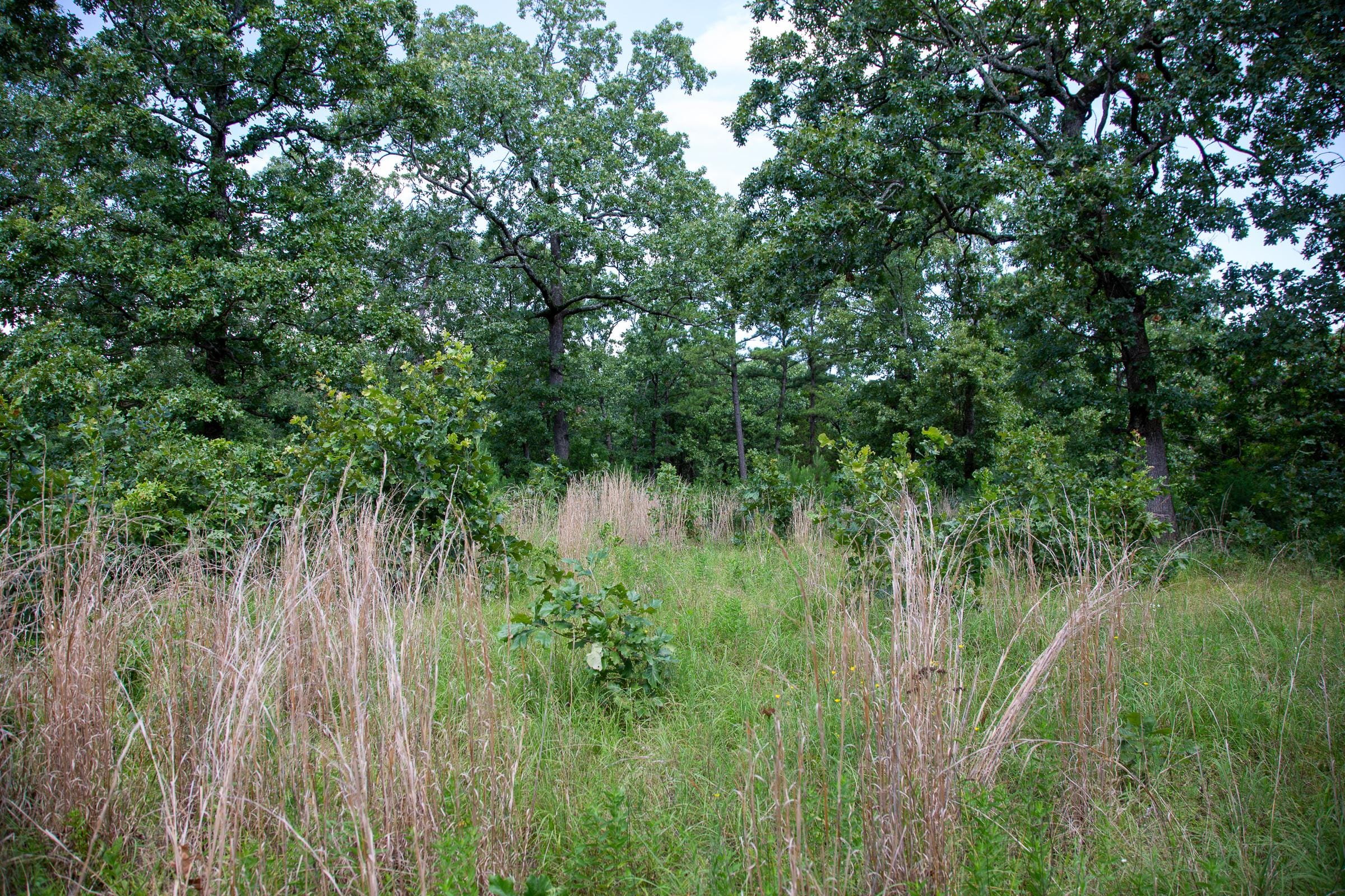 Tyler Stone Ranch Tract 41 photo 10