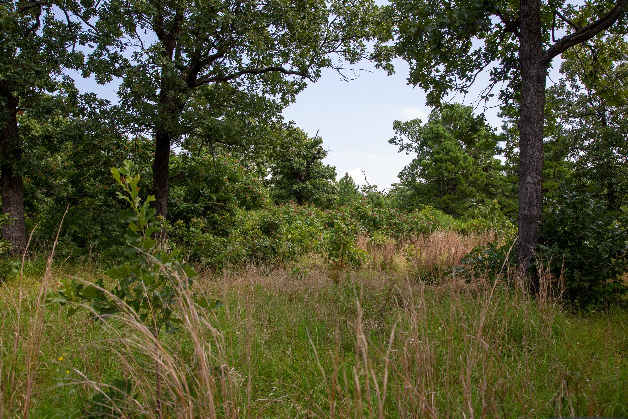 Tyler Stone Ranch Tract 41 photo 11