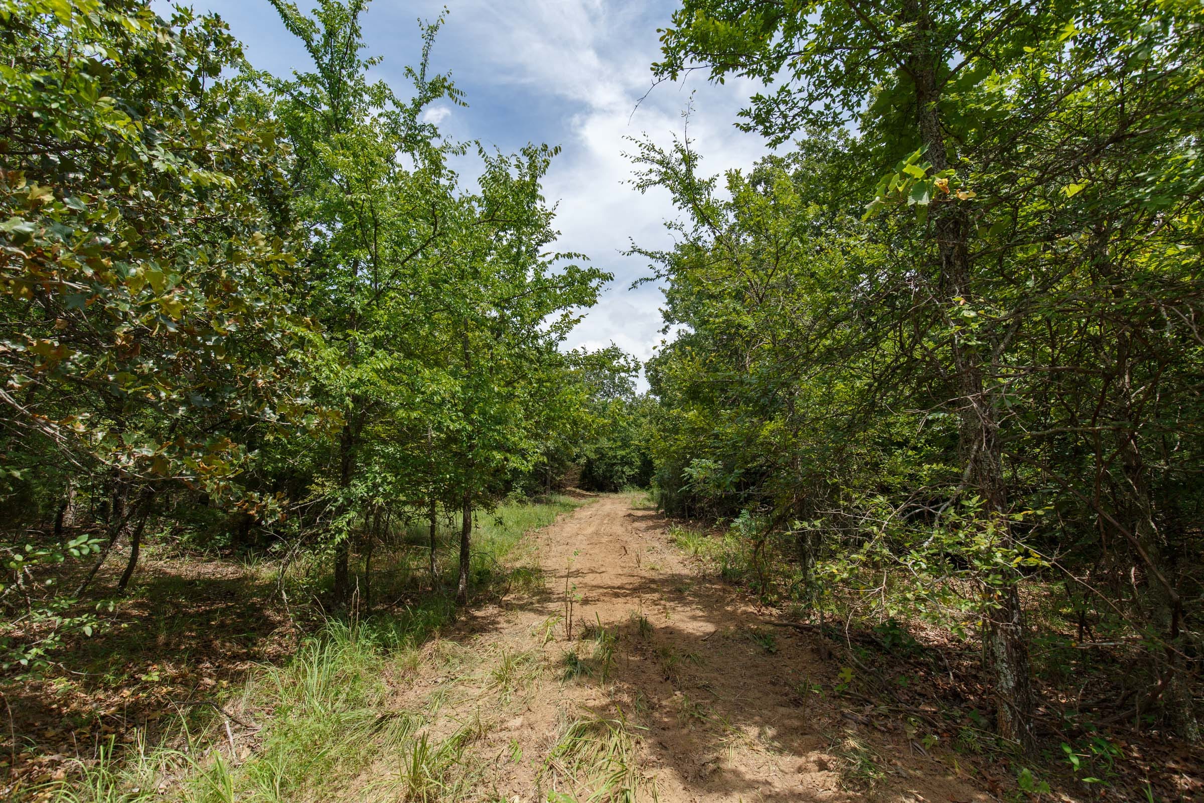 Timber Ridge Tract 26 photo 1