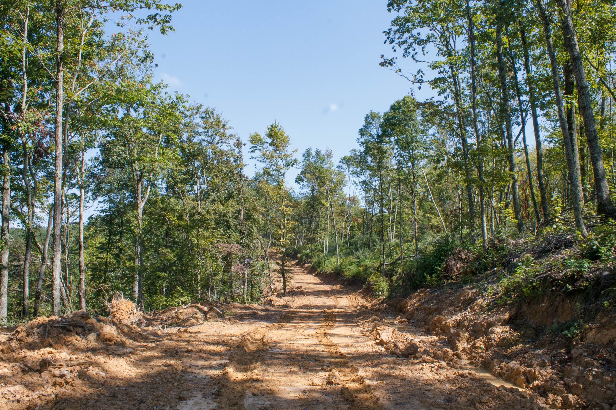 Wounded Oak Tract 2 photo 1
