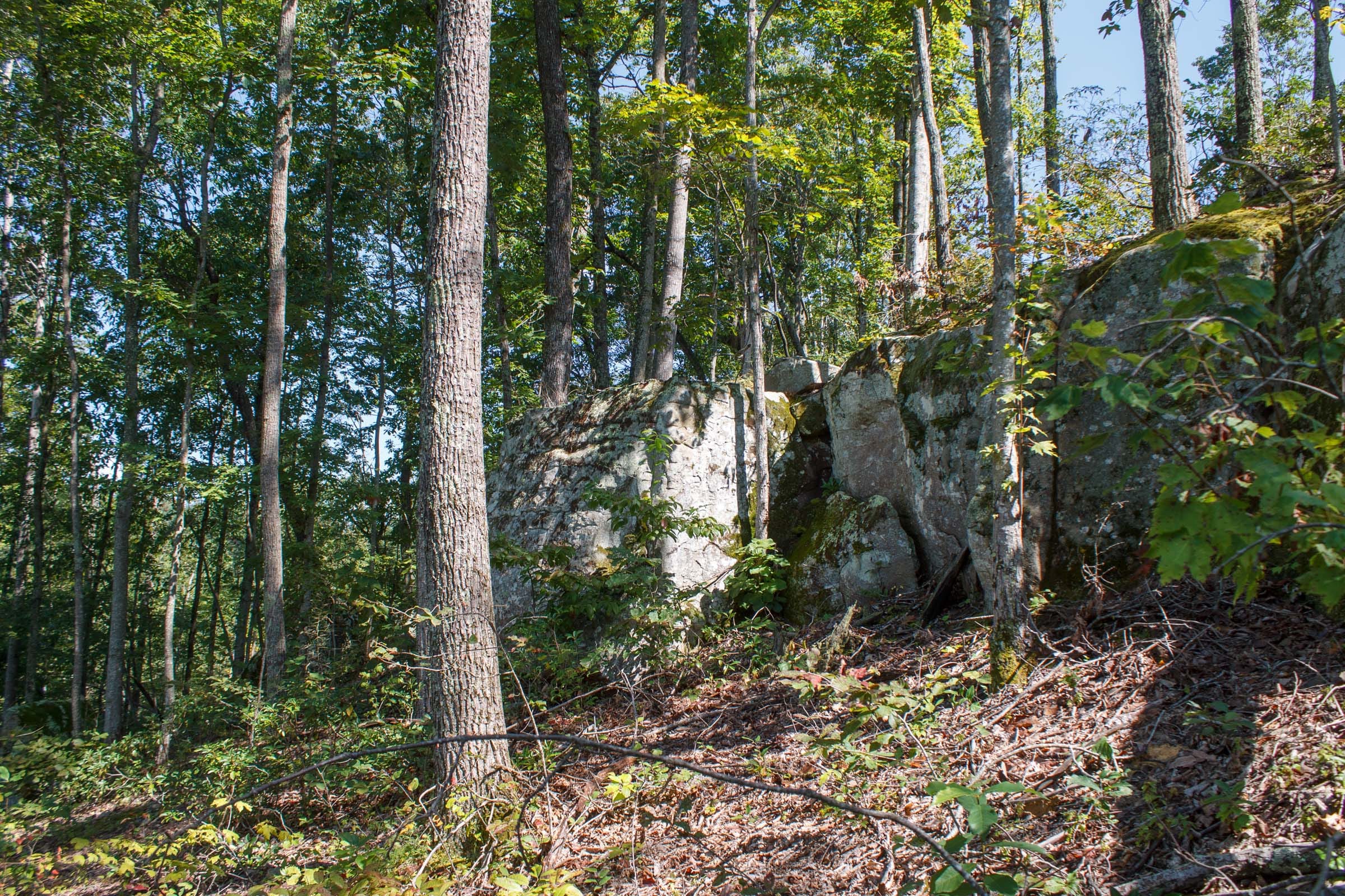 Wounded Oak Tract 2 photo 3