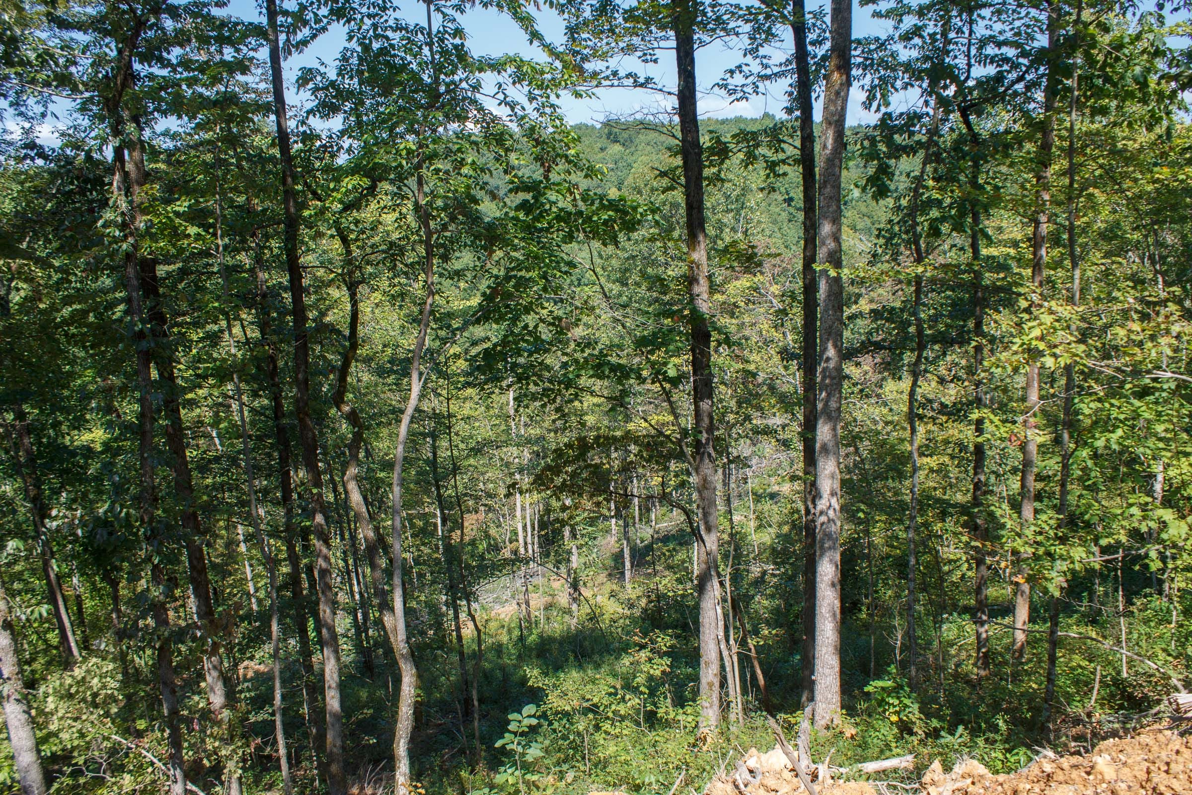 Wounded Oak Tract 2 photo 11