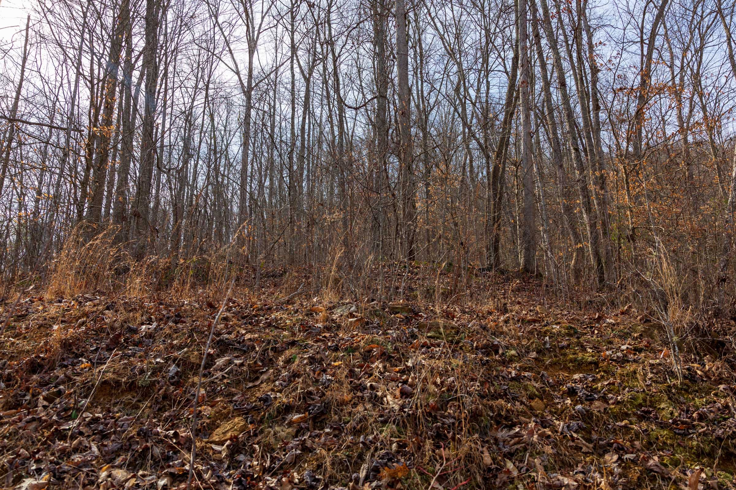 Blackstone Mountain Phase II Tract 67 photo 2