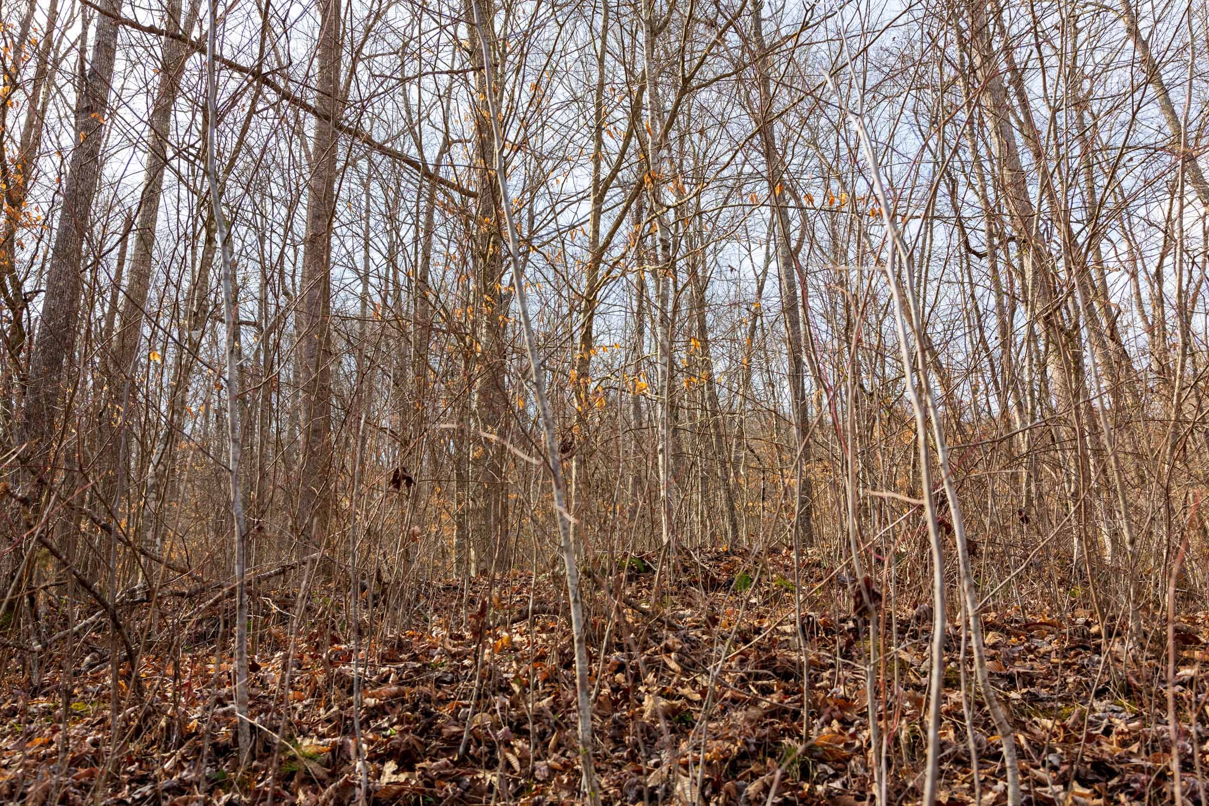 Blackstone Mountain Phase II Tract 67 photo 3