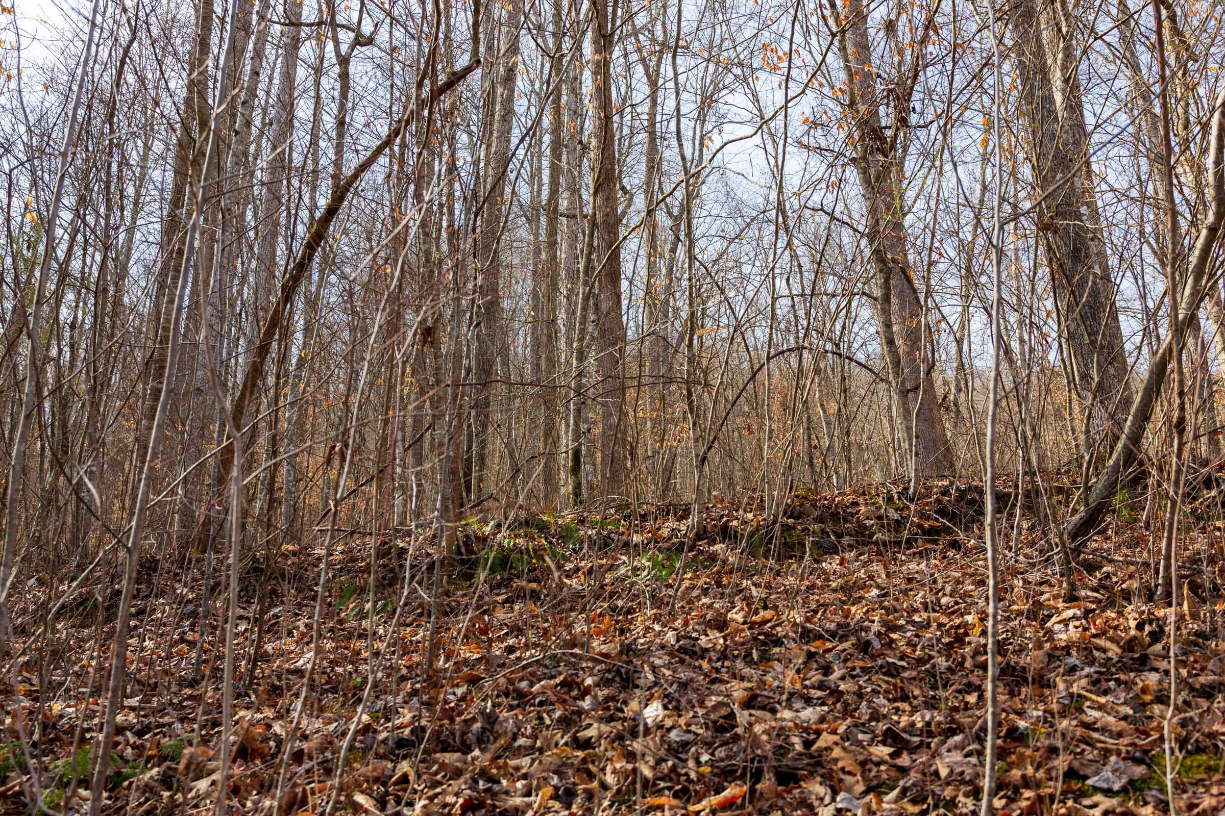 Blackstone Mountain Phase II Tract 67 photo 4