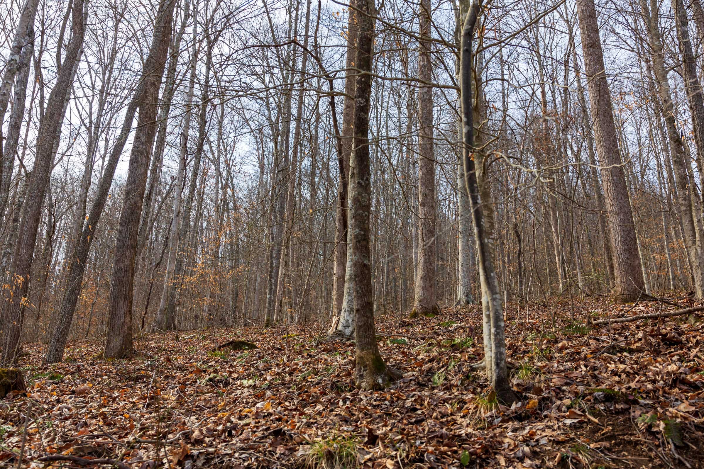 Blackstone Mountain Phase II Tract 67 photo 5