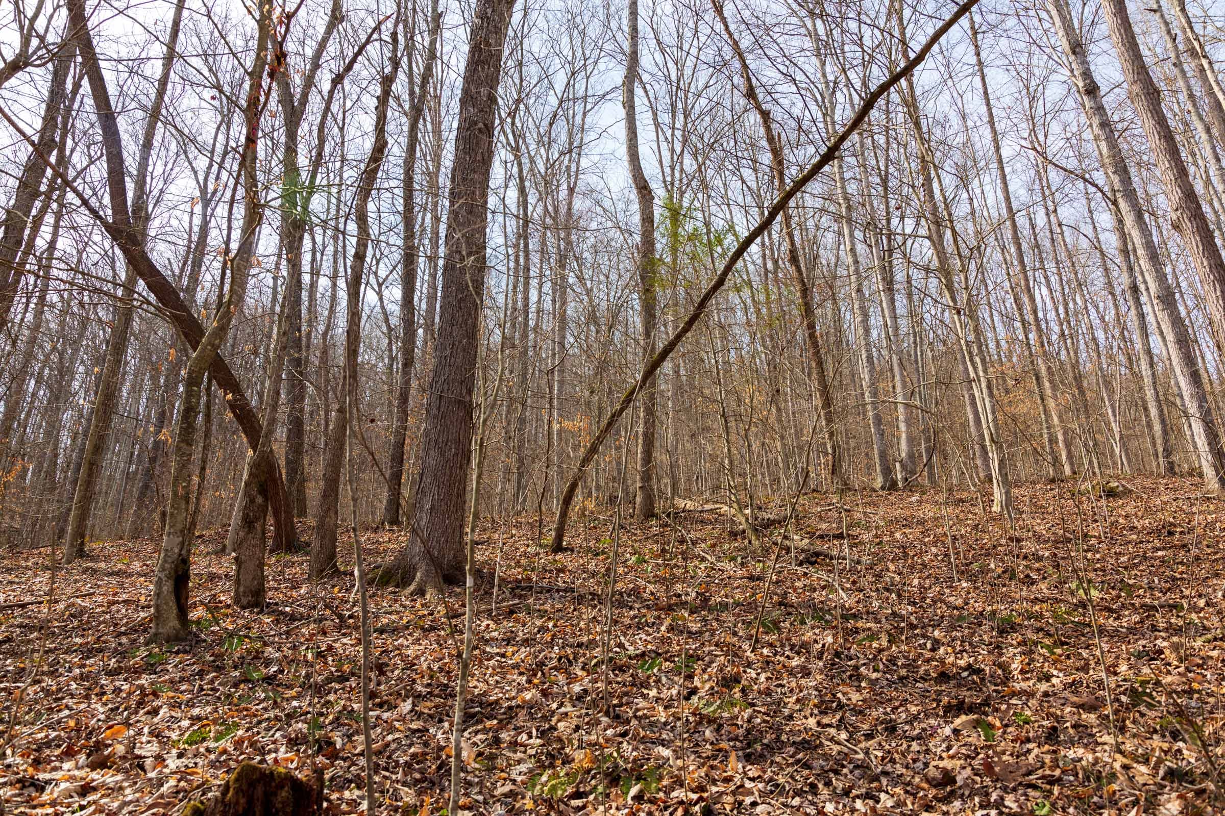 Blackstone Mountain Phase II Tract 67 photo 8