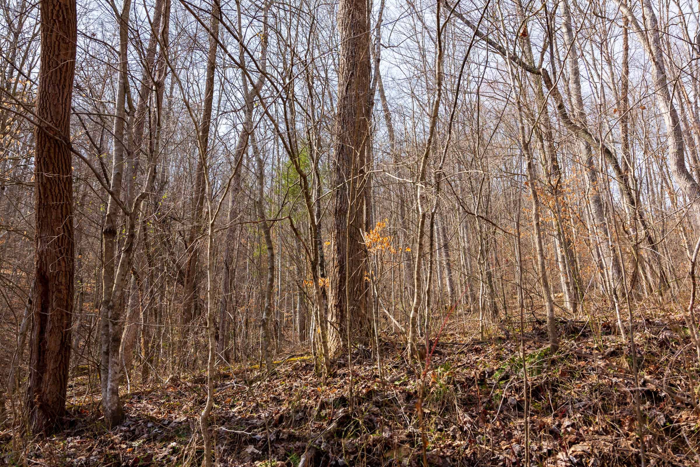 Blackstone Mountain Phase II Tract 67 photo 15