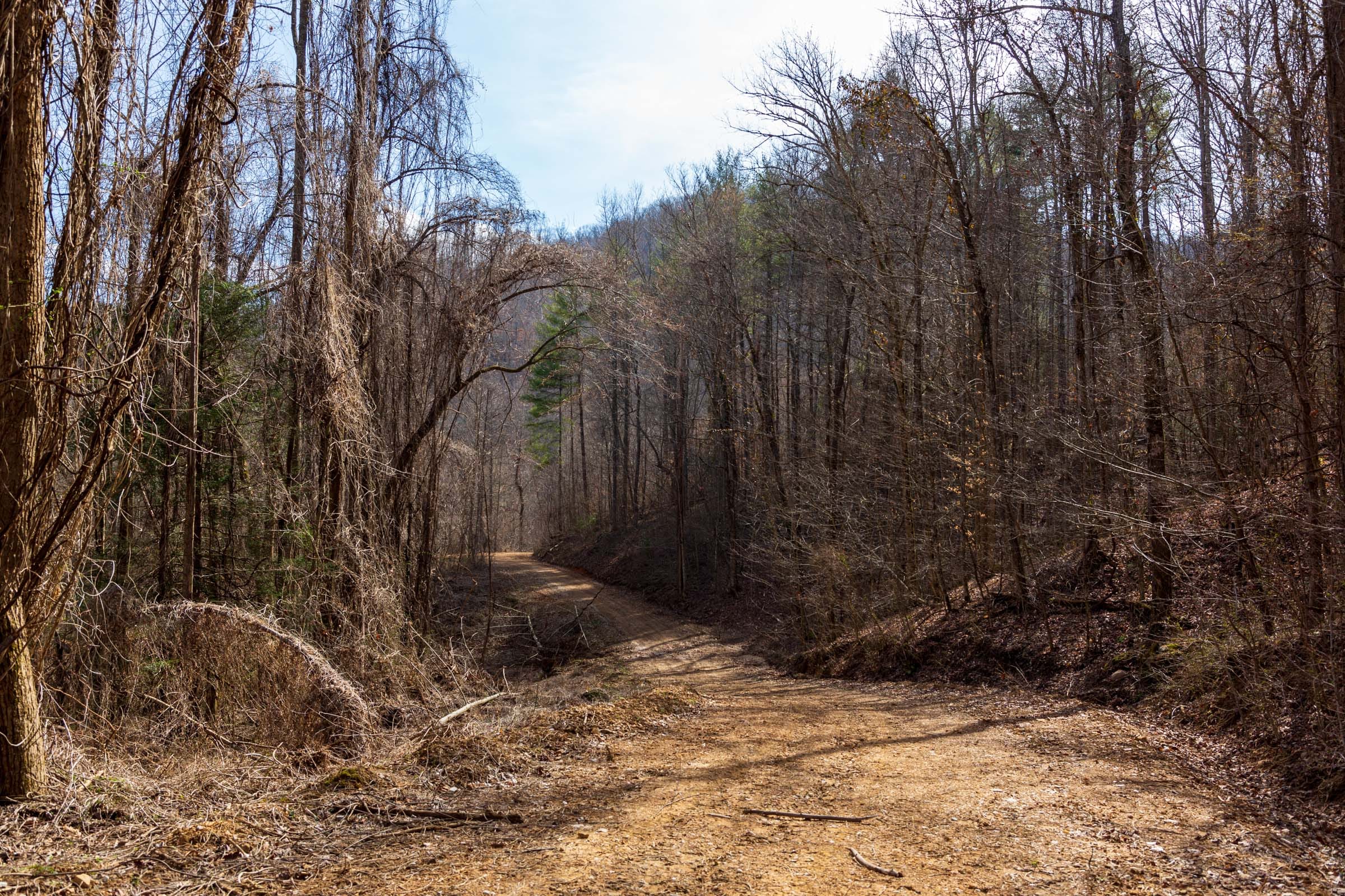 Blackstone Mountain Phase II Tract 67 photo 11