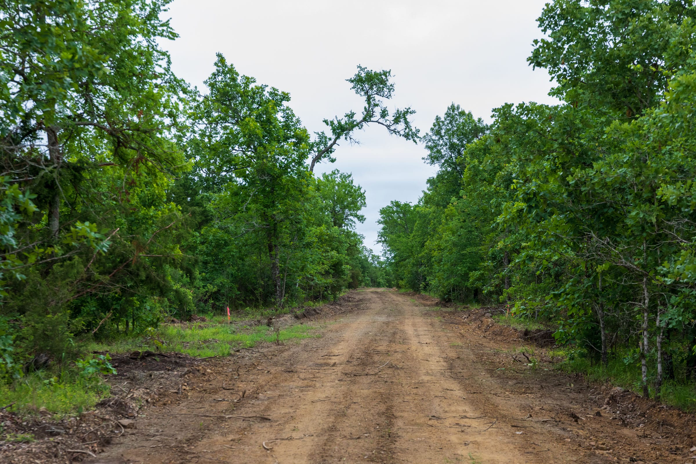 Falcon Crest Tract 10 photo 1