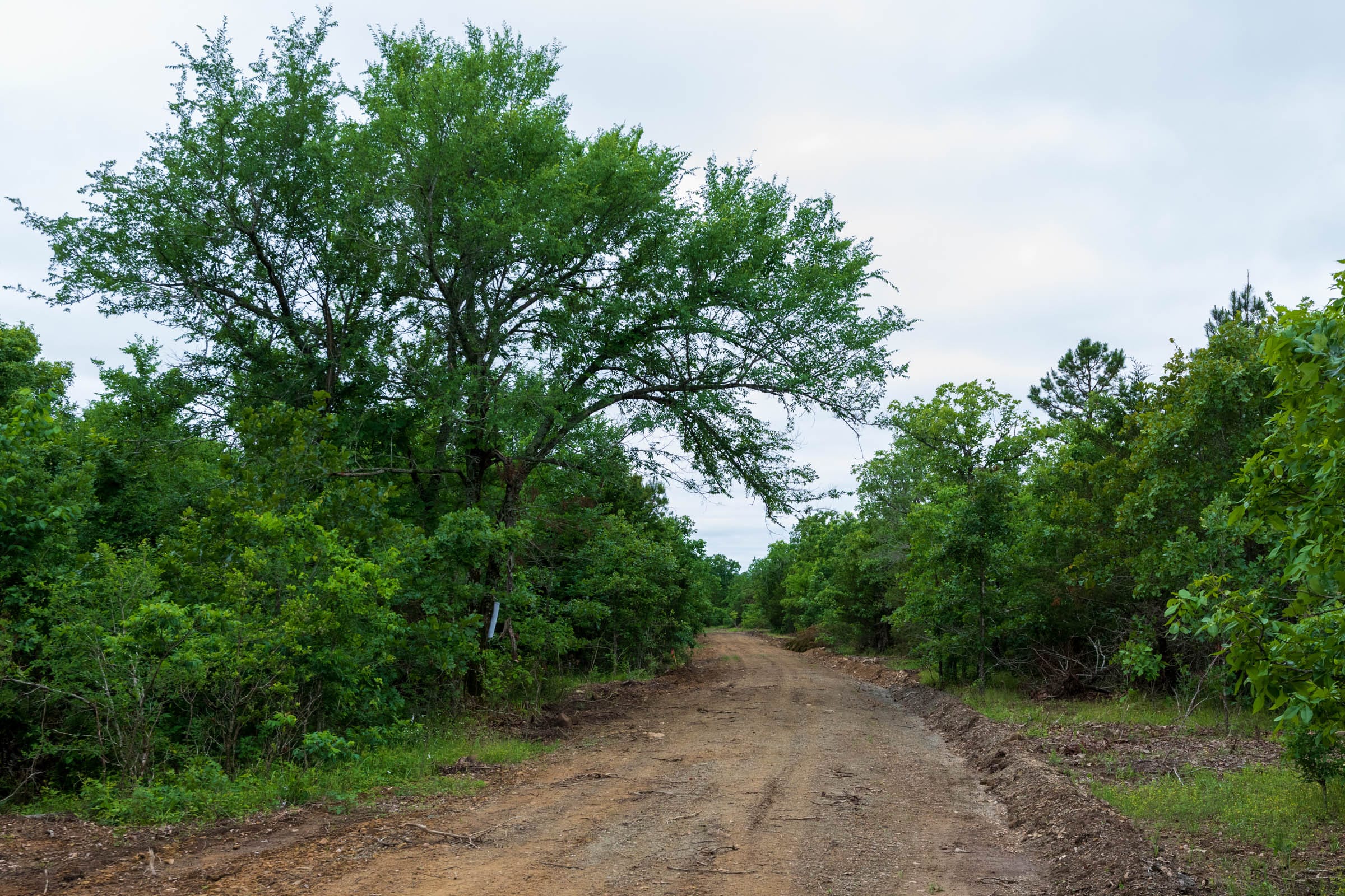 Falcon Crest Tract 10 photo 4