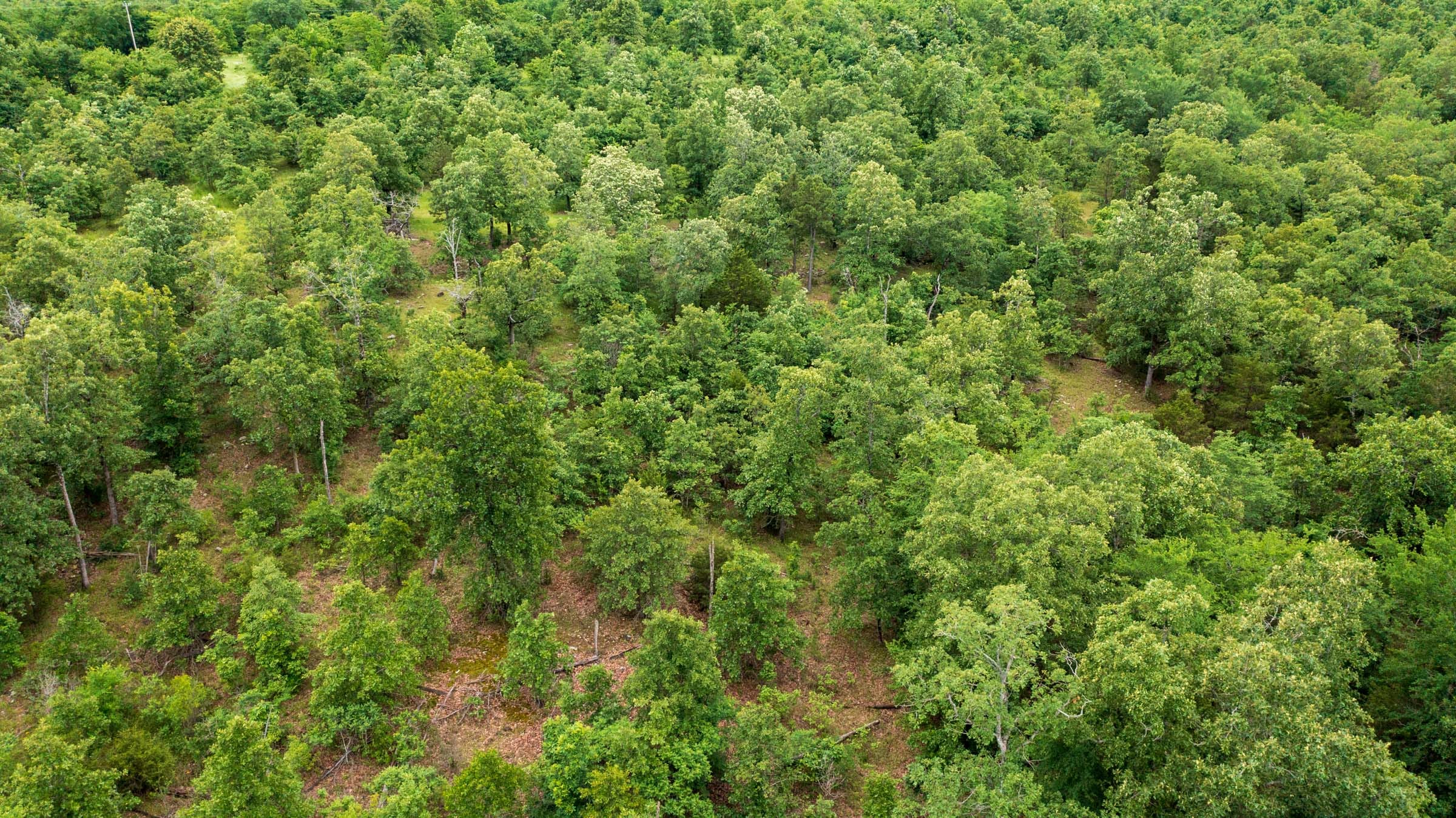 Falcon Crest Tract 10 photo 12