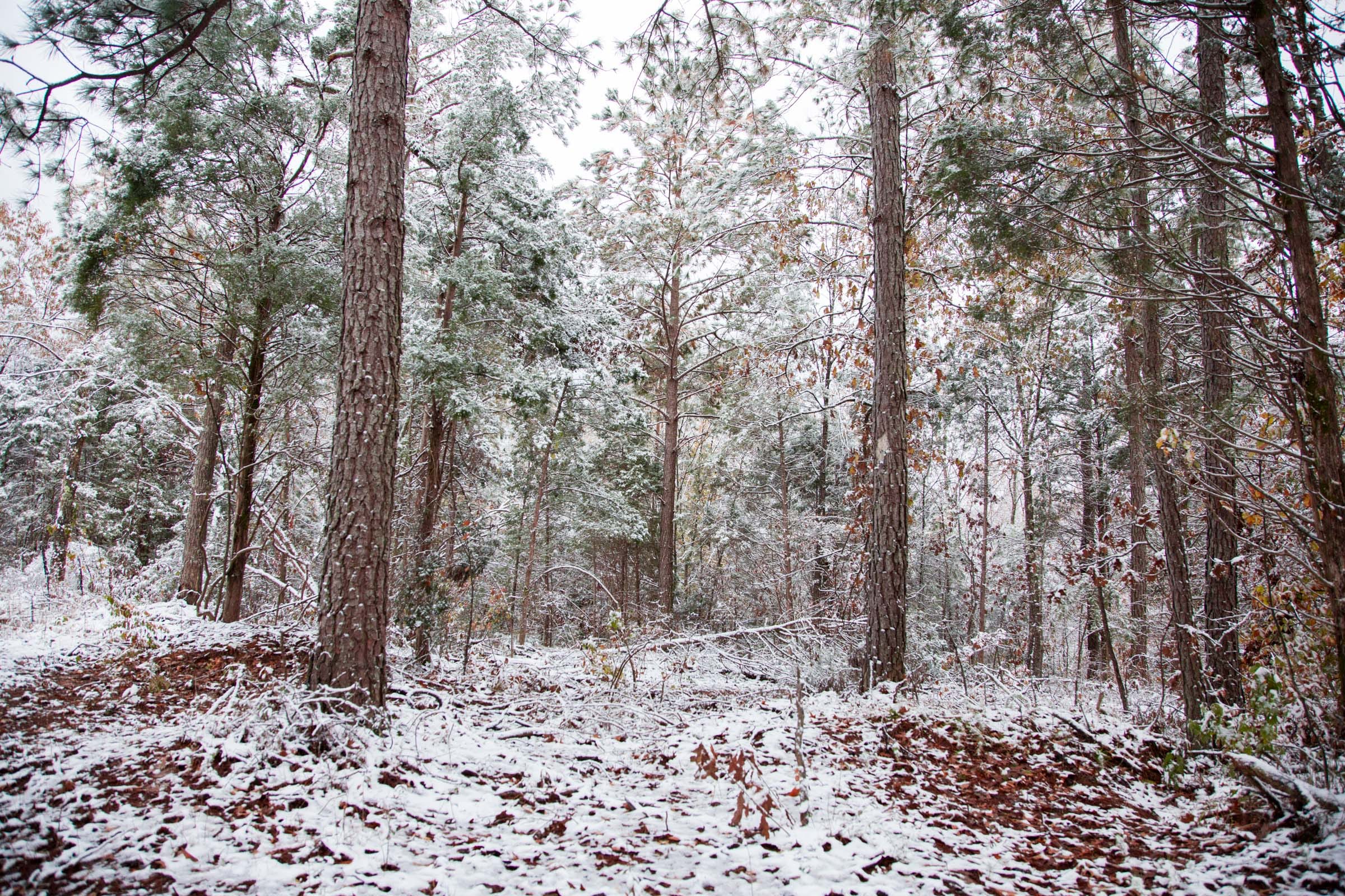 Sweet Water Ranch Tract 9 photo 1