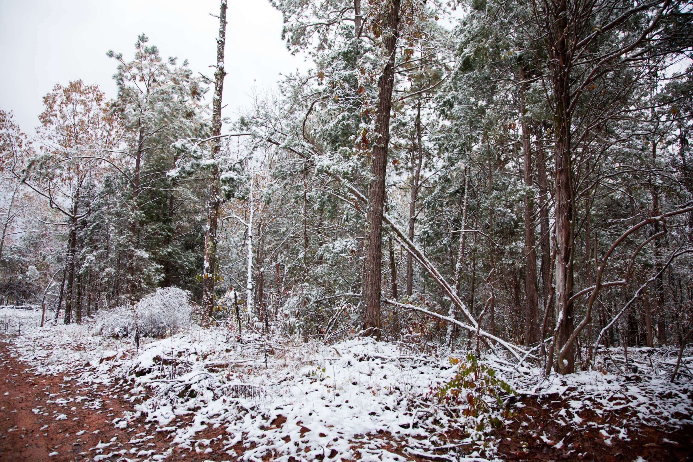 Sweet Water Ranch Tract 9 photo 3