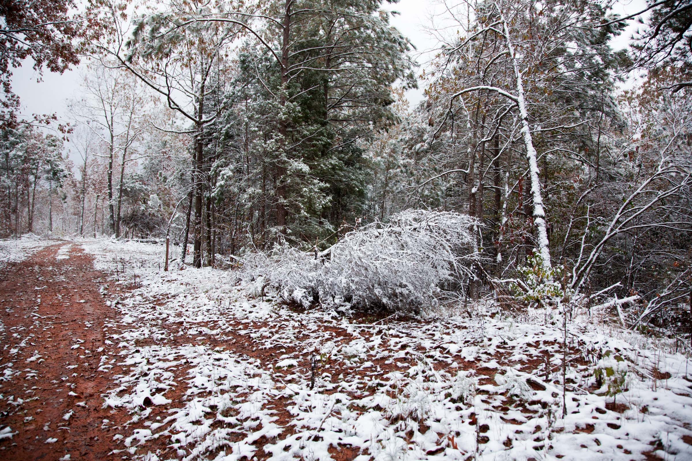 Sweet Water Ranch Tract 9 photo 4