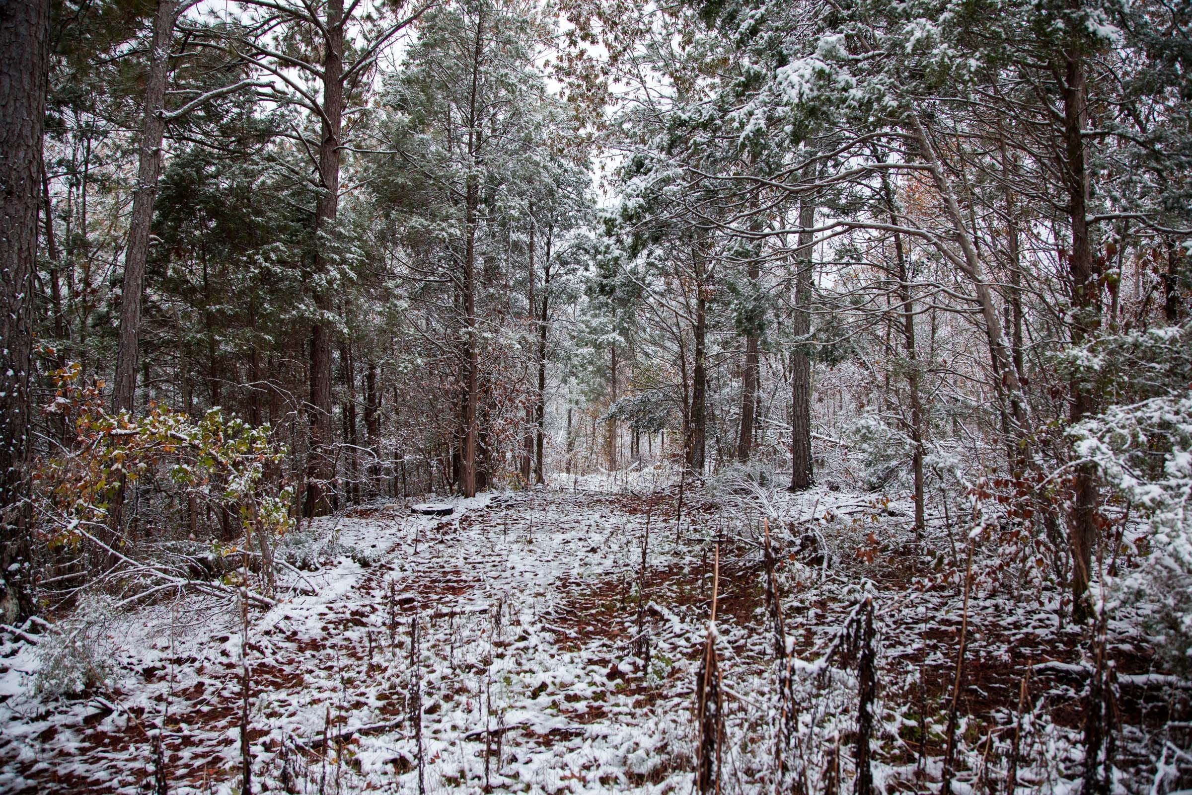 Sweet Water Ranch Tract 9 photo 5