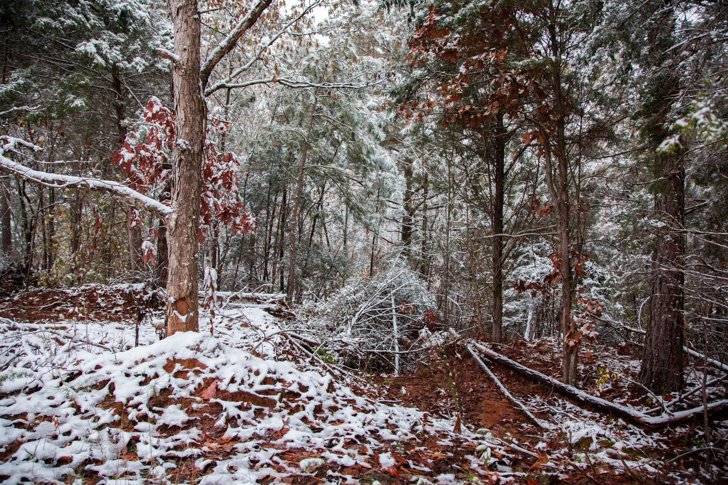 Sweet Water Ranch Tract 9 photo 6