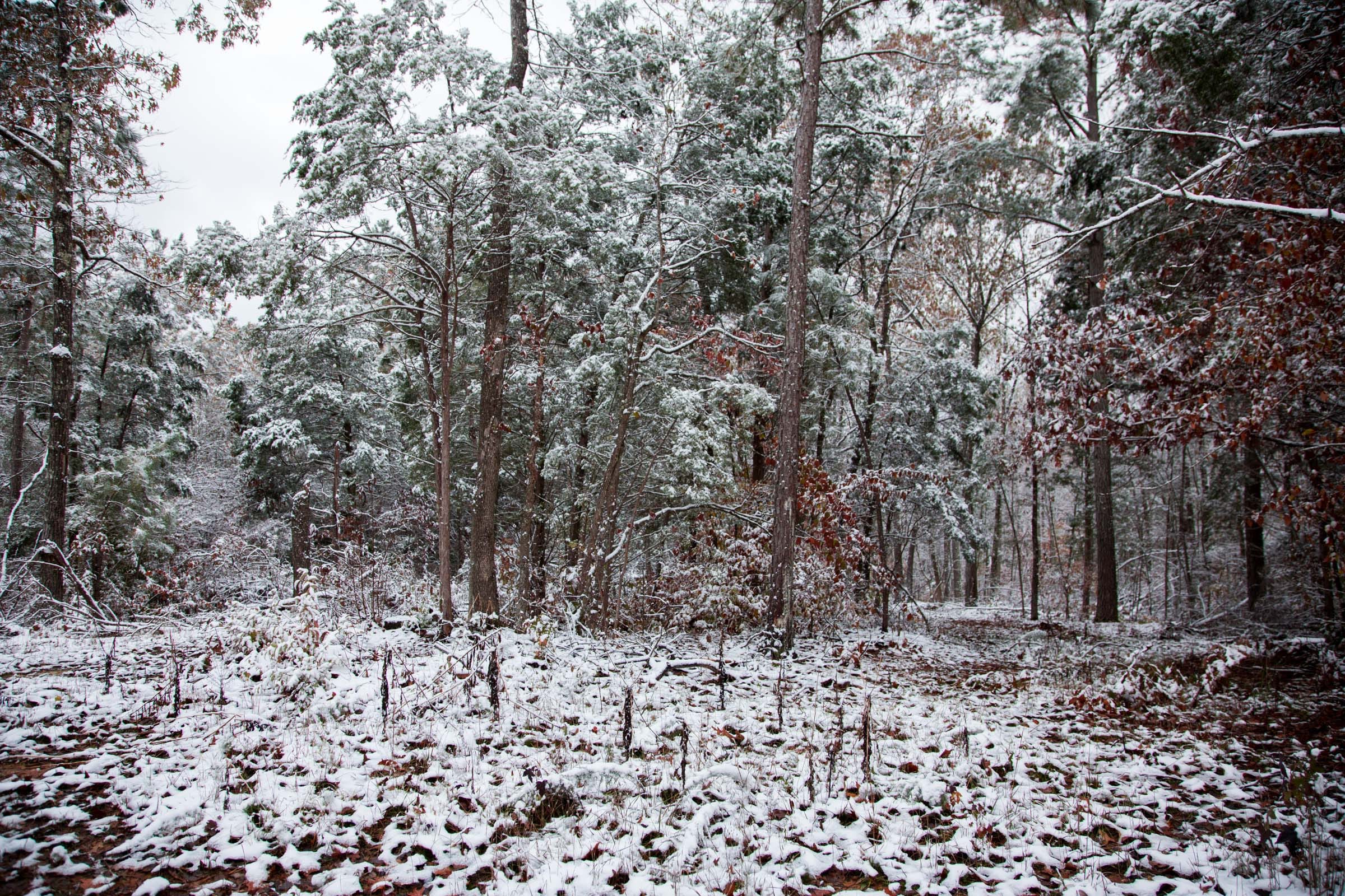 Sweet Water Ranch Tract 9 photo 8