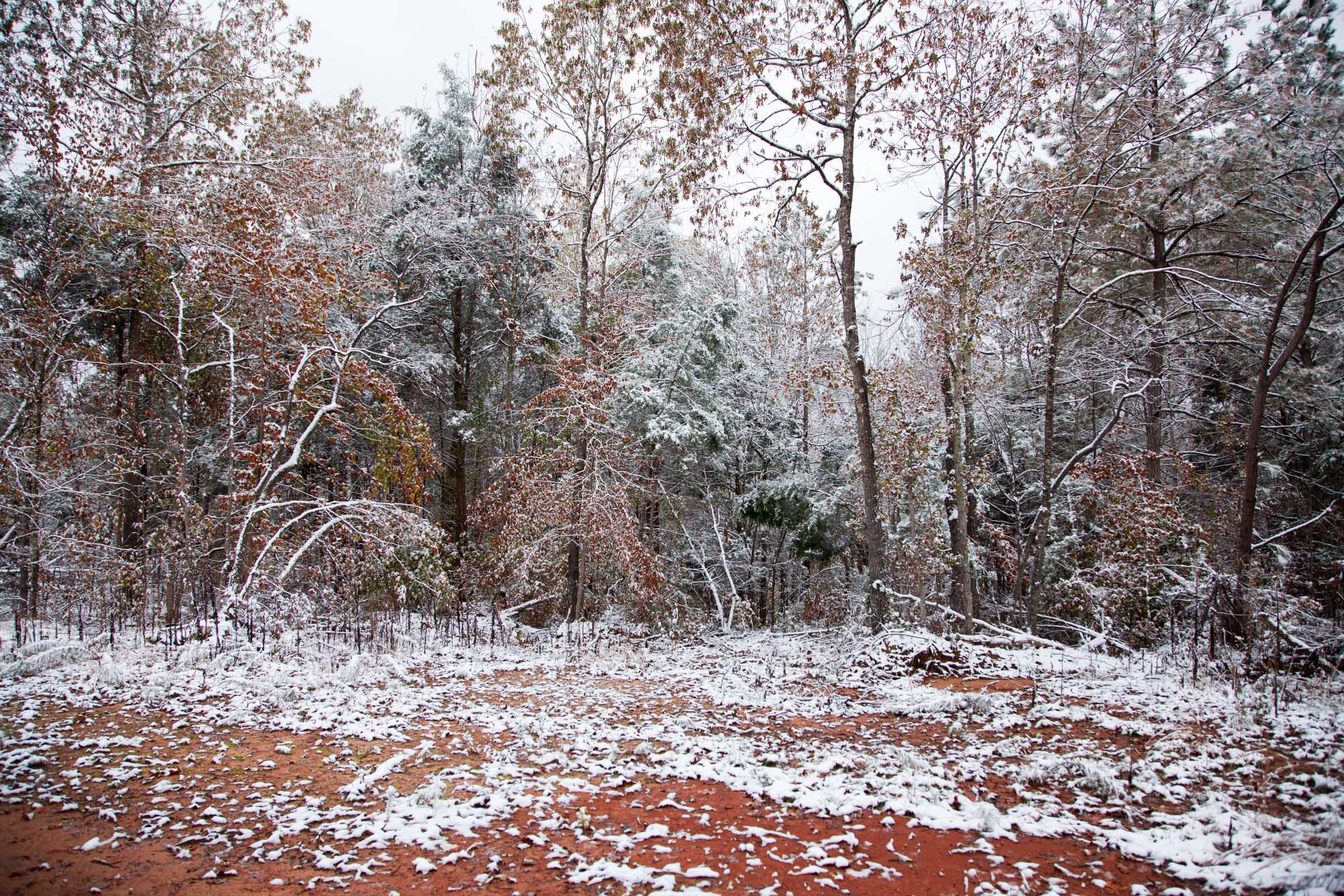 Sweet Water Ranch Tract 9 photo 10