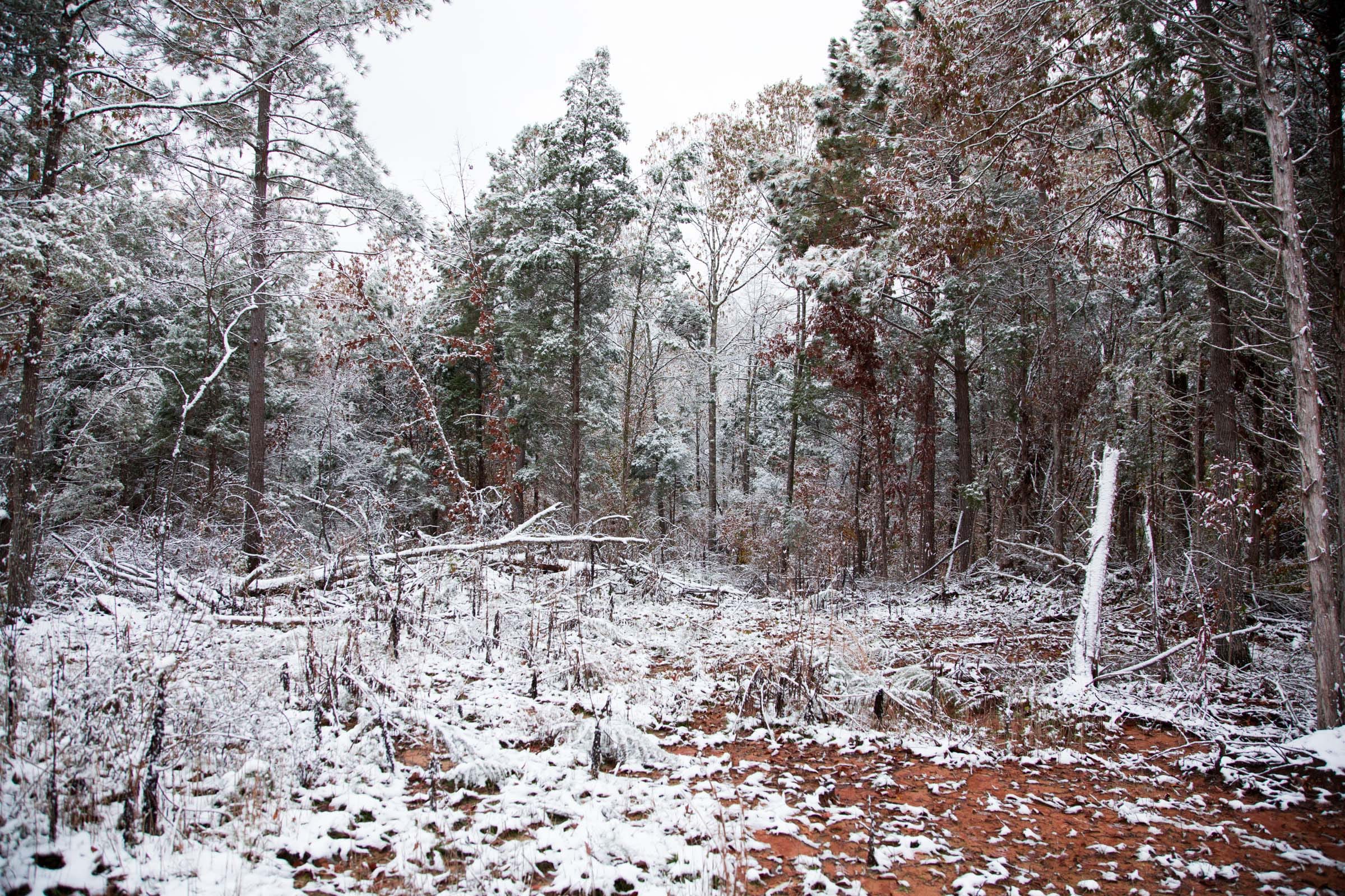 Sweet Water Ranch Tract 9 photo 11