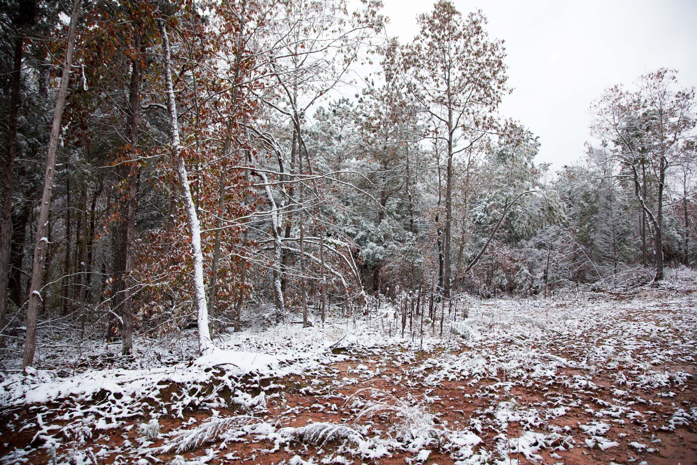 Sweet Water Ranch Tract 9 photo 12