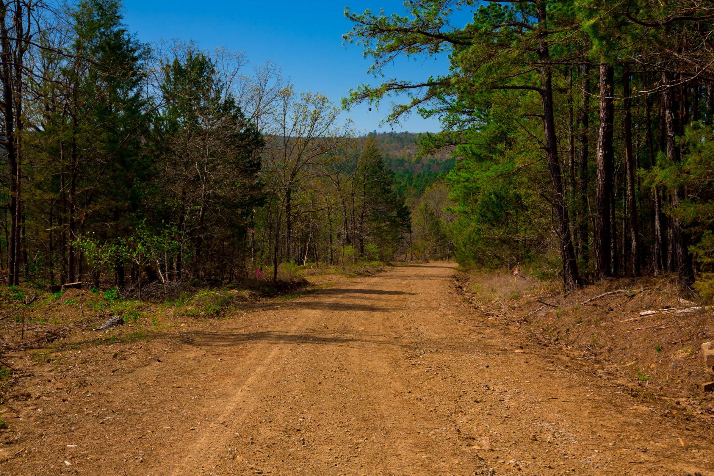 Stone Creek Phase II Tract 255 photo 1