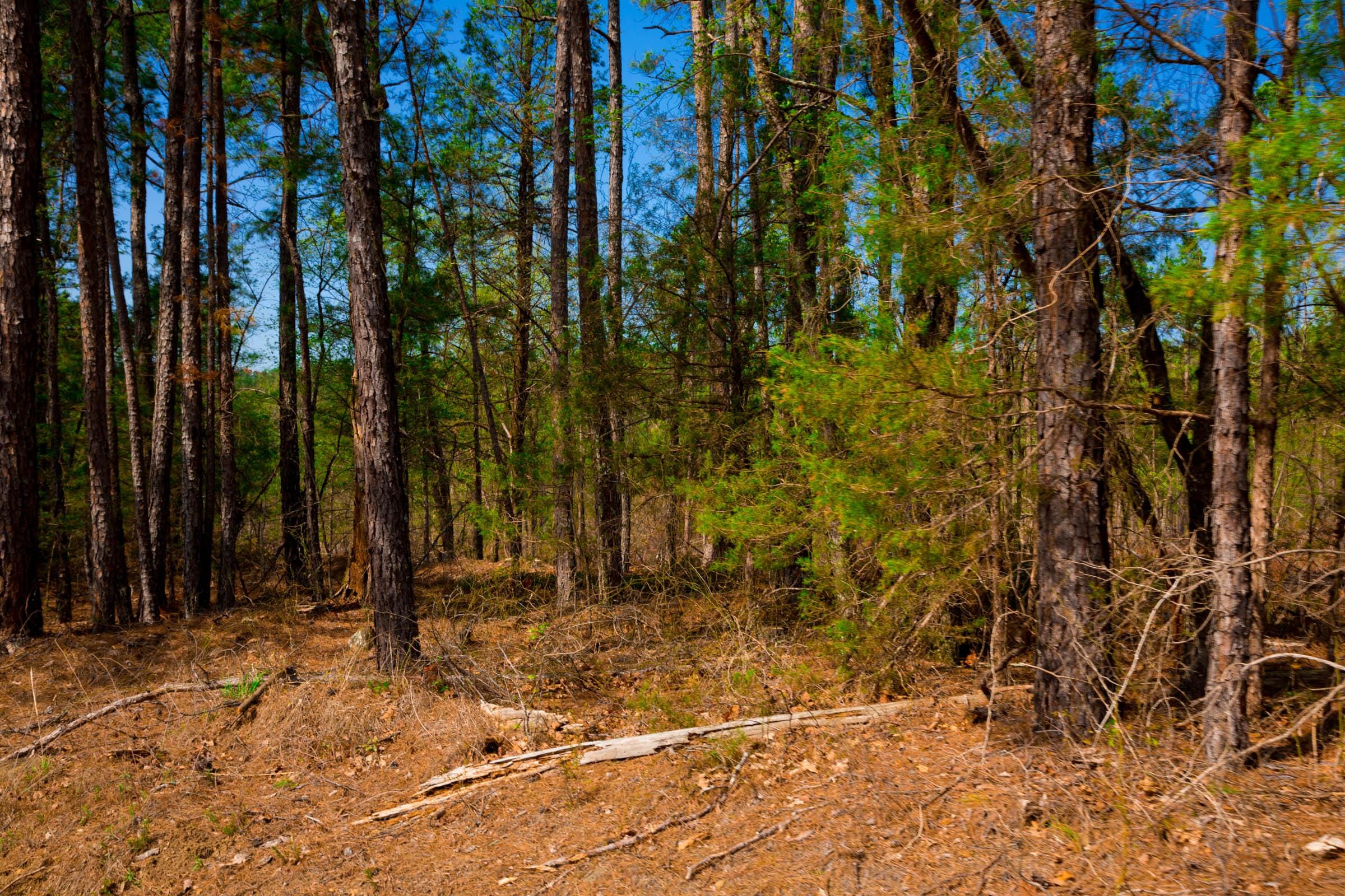 Stone Creek Phase II Tract 255 photo 2