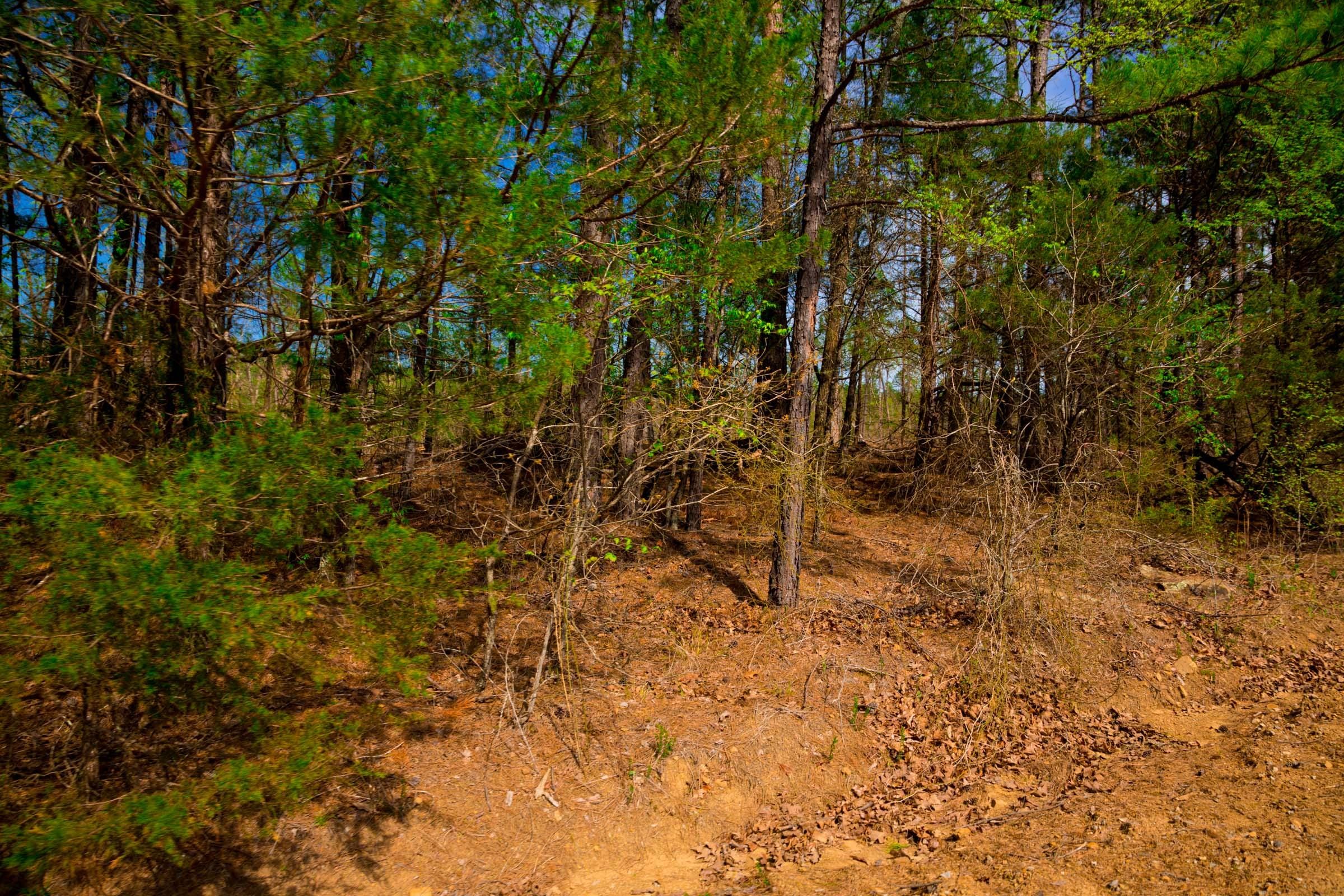 Stone Creek Phase II Tract 255 photo 4
