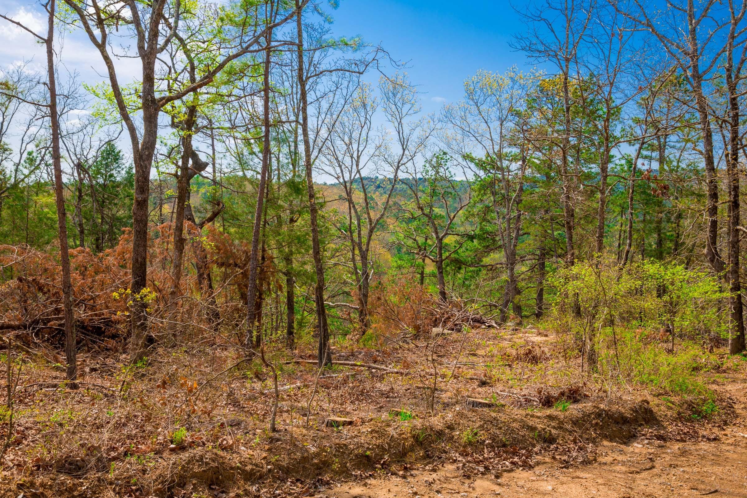 Stone Creek Phase II Tract 255 photo 6