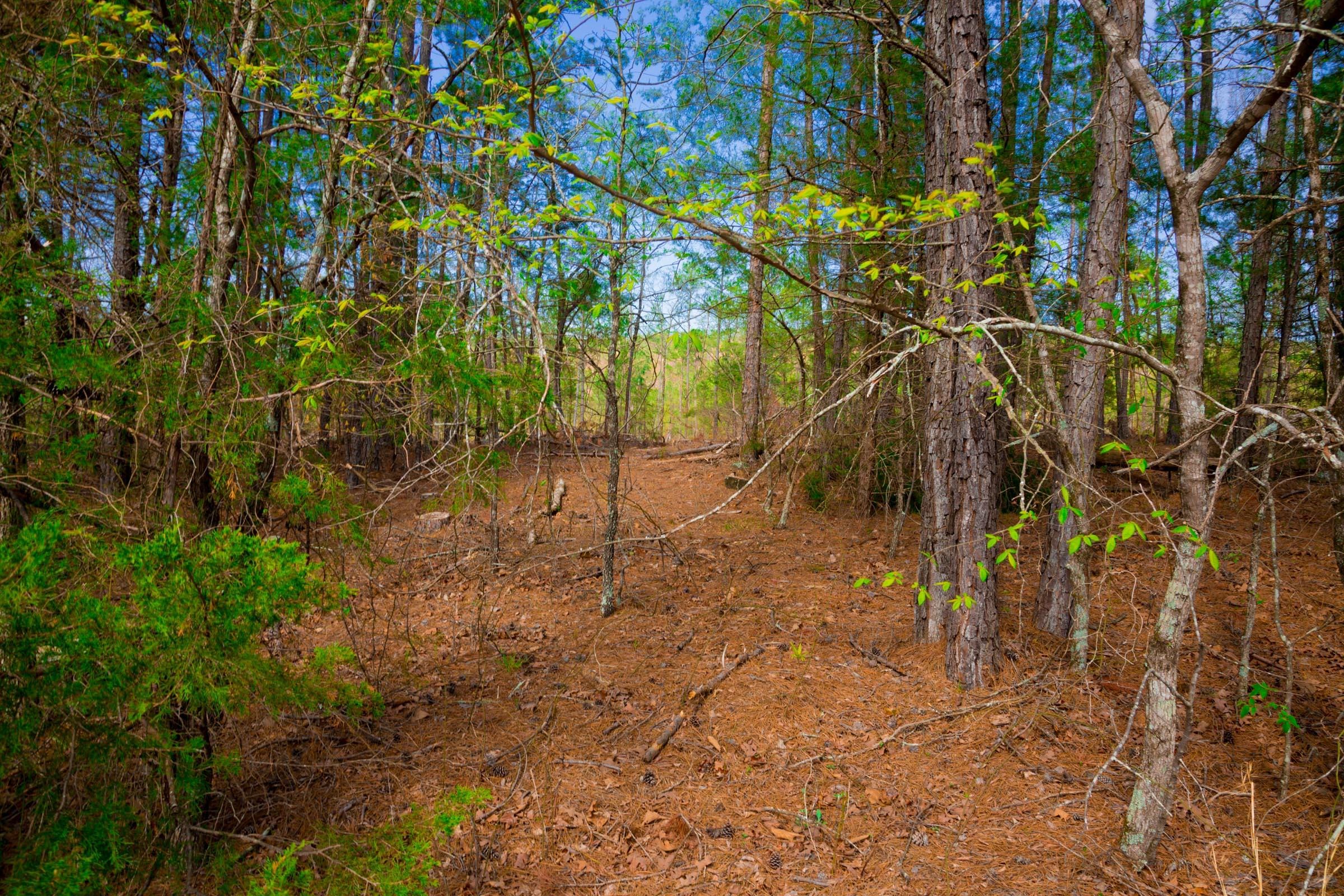 Stone Creek Phase II Tract 255 photo 7
