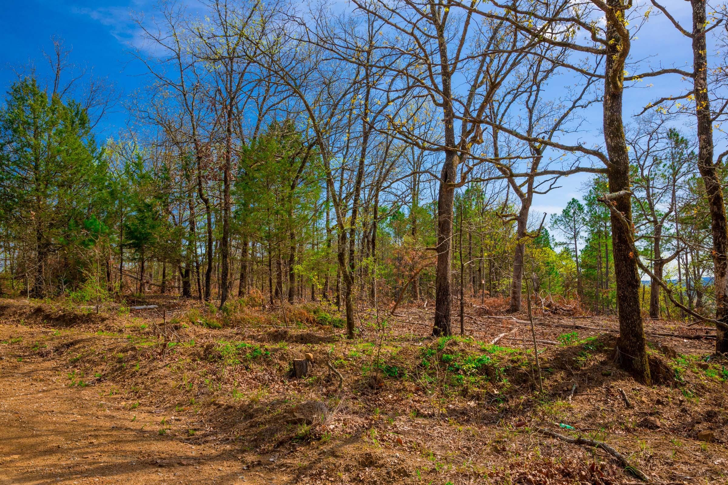 Stone Creek Phase II Tract 255 photo 9