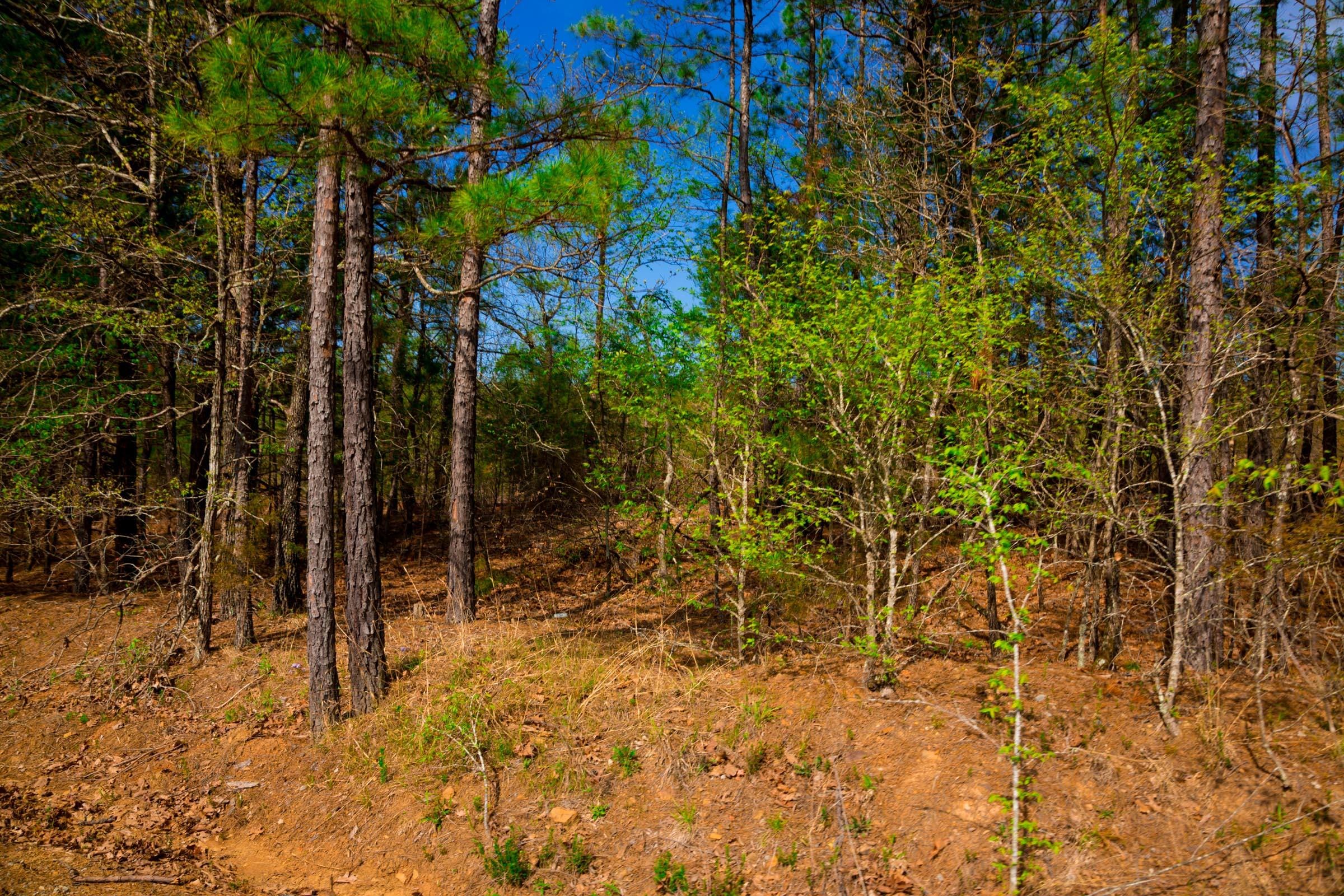 Stone Creek Phase II Tract 255 photo 10